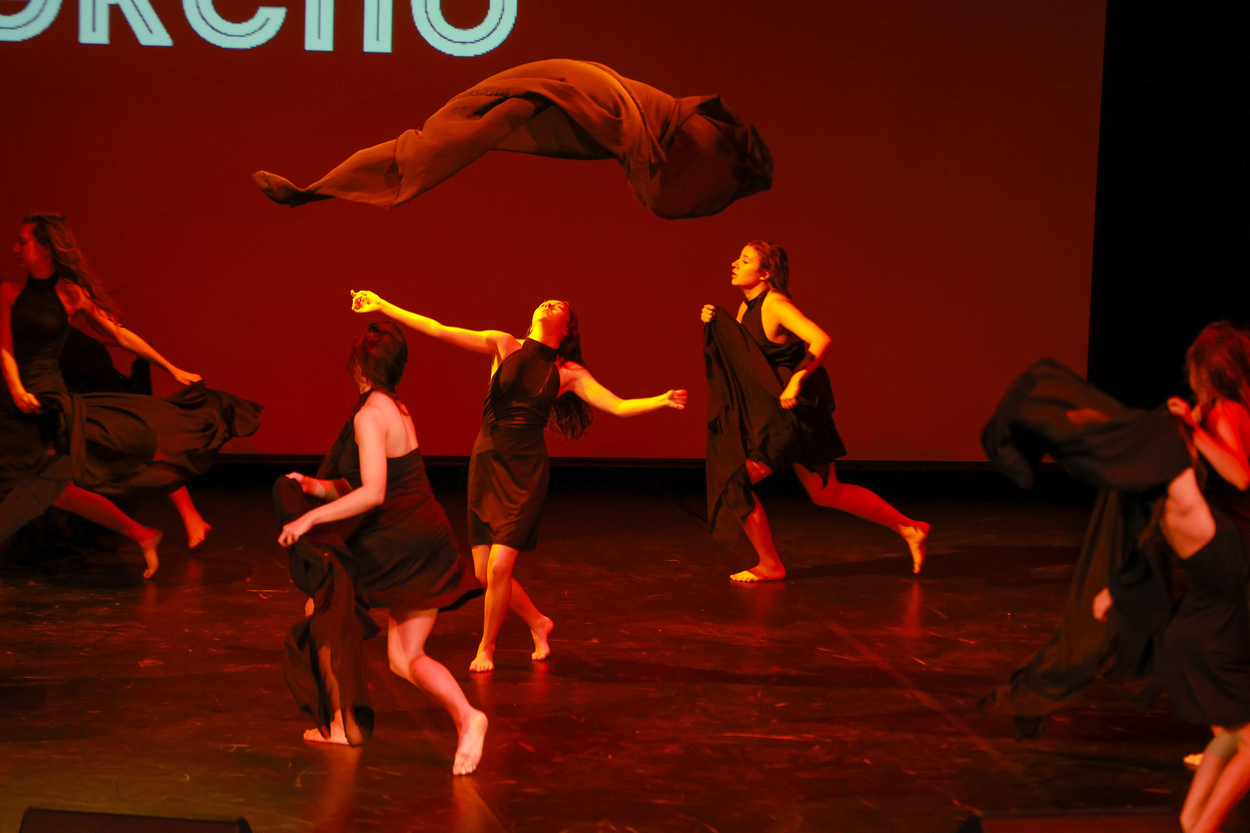 Небесные ласточки на Танц ЭКСПО 2026. Фотограф Юлия Мальцева