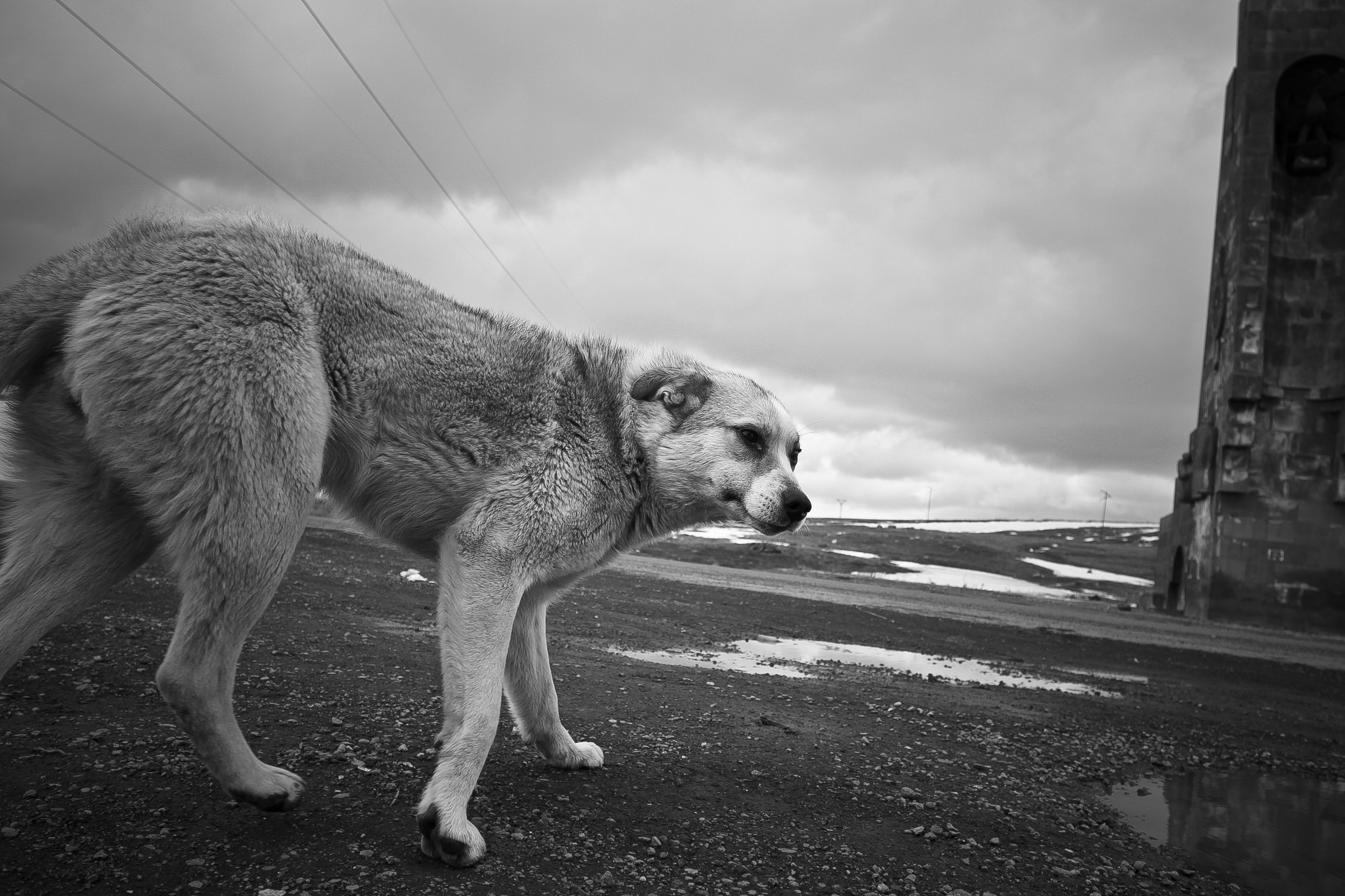 Армения. Двадцать лет спустя. Репортажный фотограф во Всеволожске и Санкт-Петербурге Владимир Капустин
