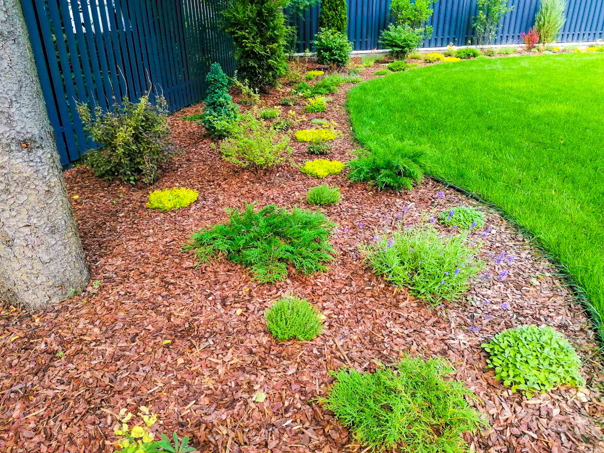 Gramina Campis — ландшафтное бюро в Москве и Подмосковье. Дизайн, озеленение, благоустройство