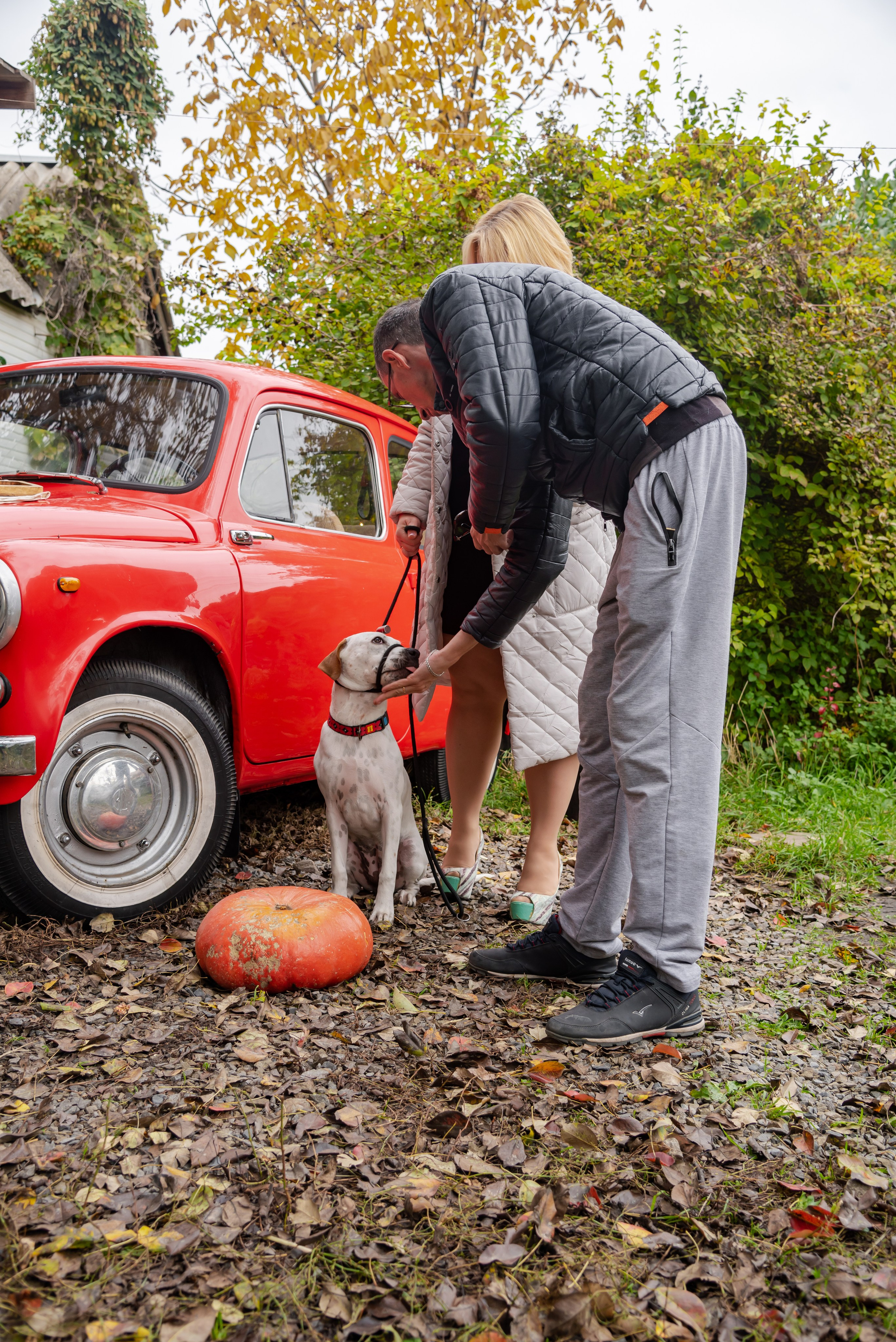 Авакадо. Фотограф Галина Нестерова