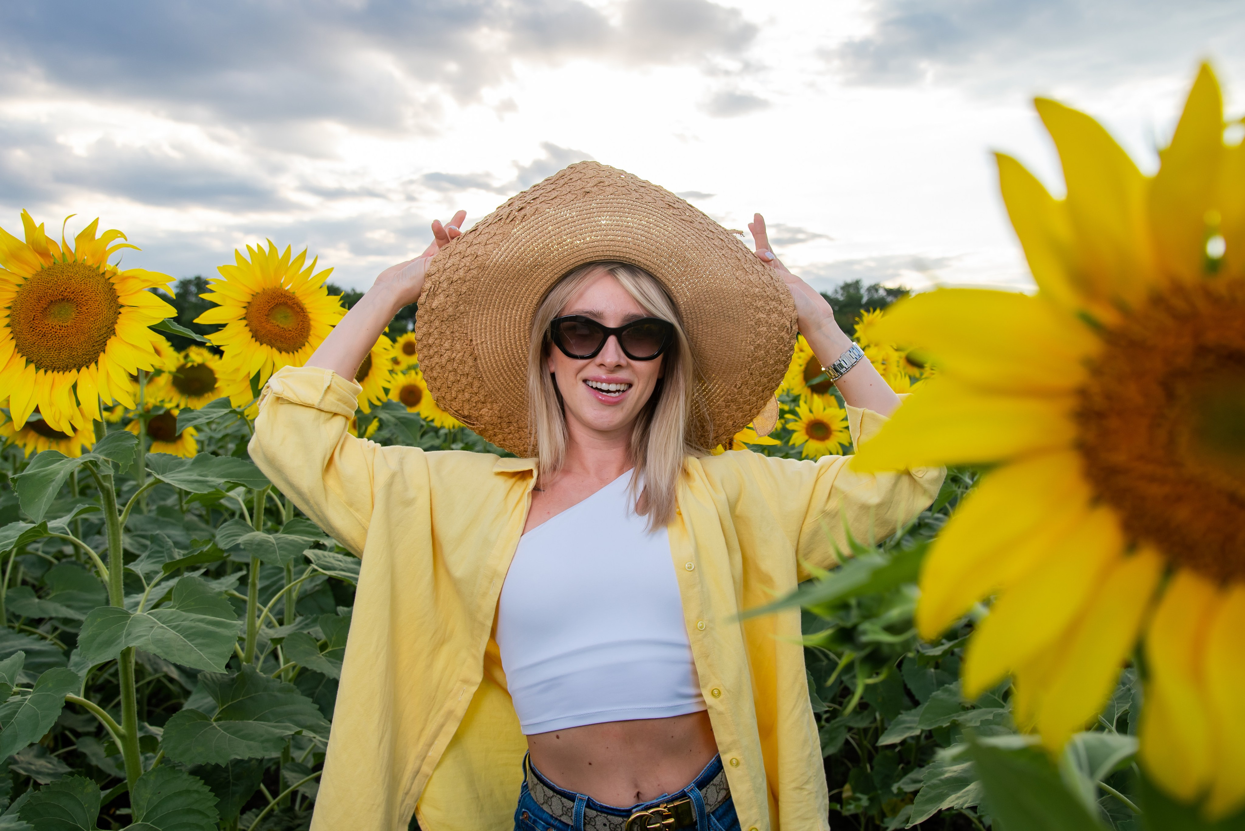 Подсолнух. Фотограф Галина Нестерова