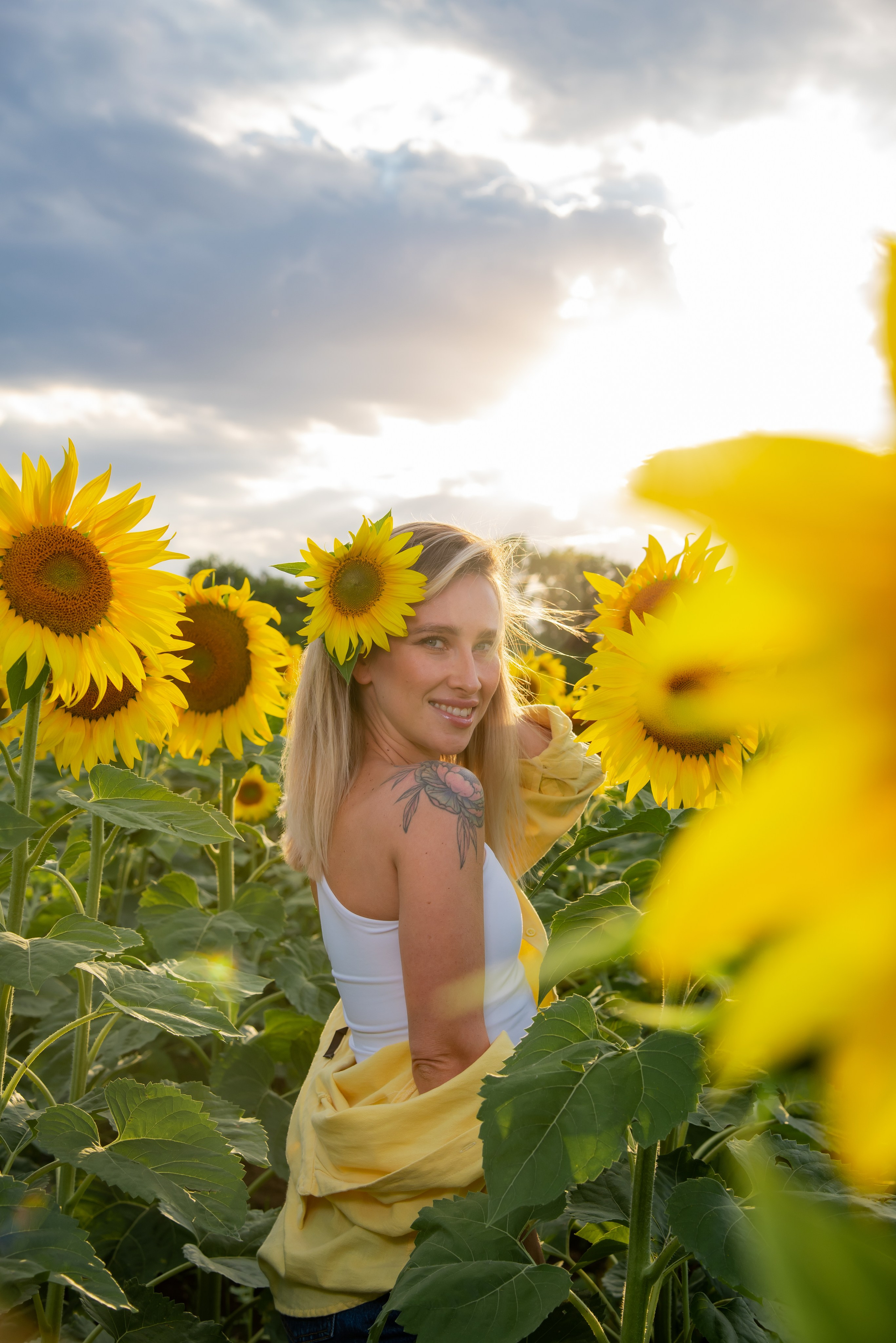 Подсолнух. Фотограф Галина Нестерова