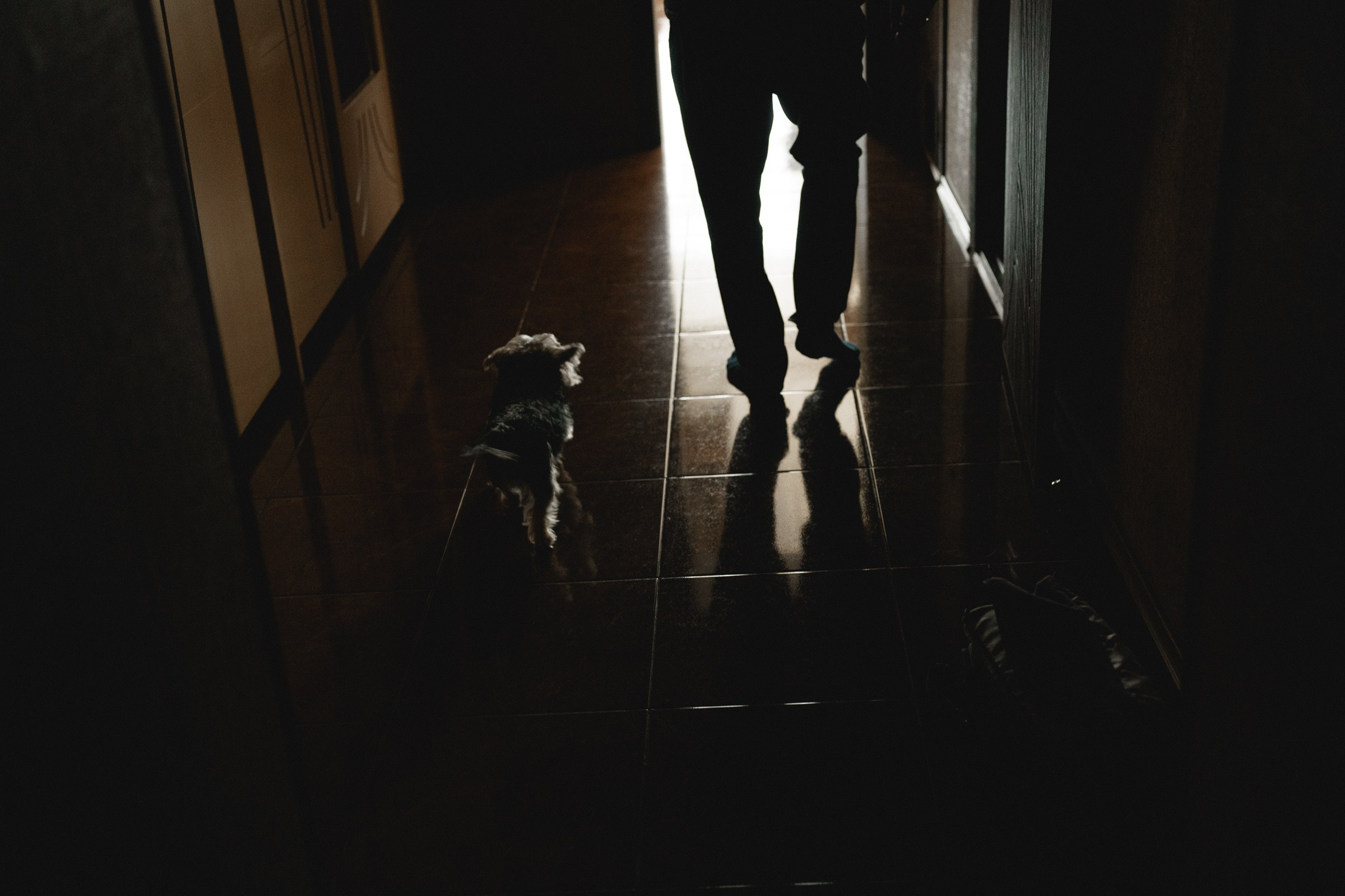 Жаль не все дома…. Свадебный и семейный фотограф в Абакане Василевский Алексей