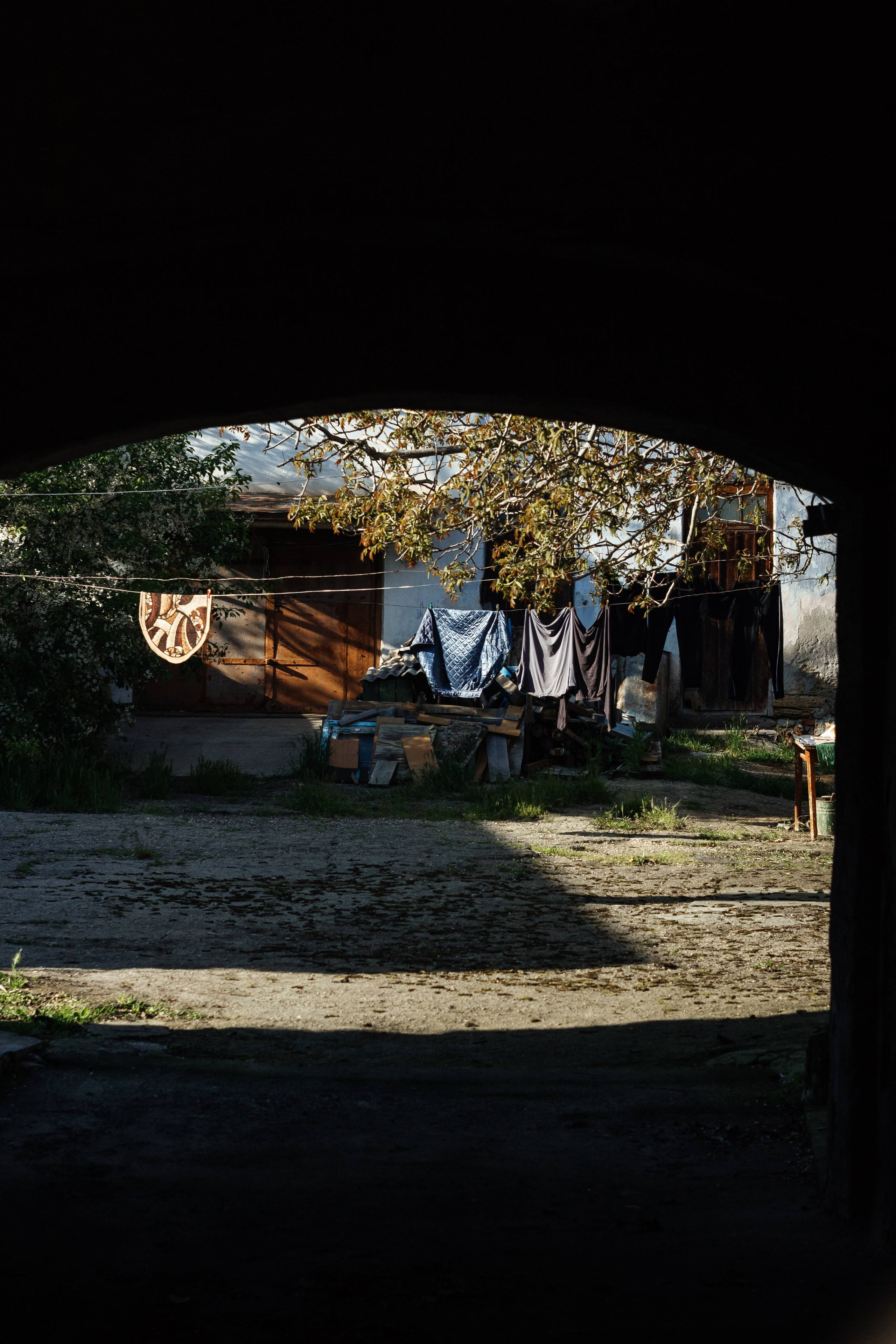 Helios. Photographer Mary Matveenko