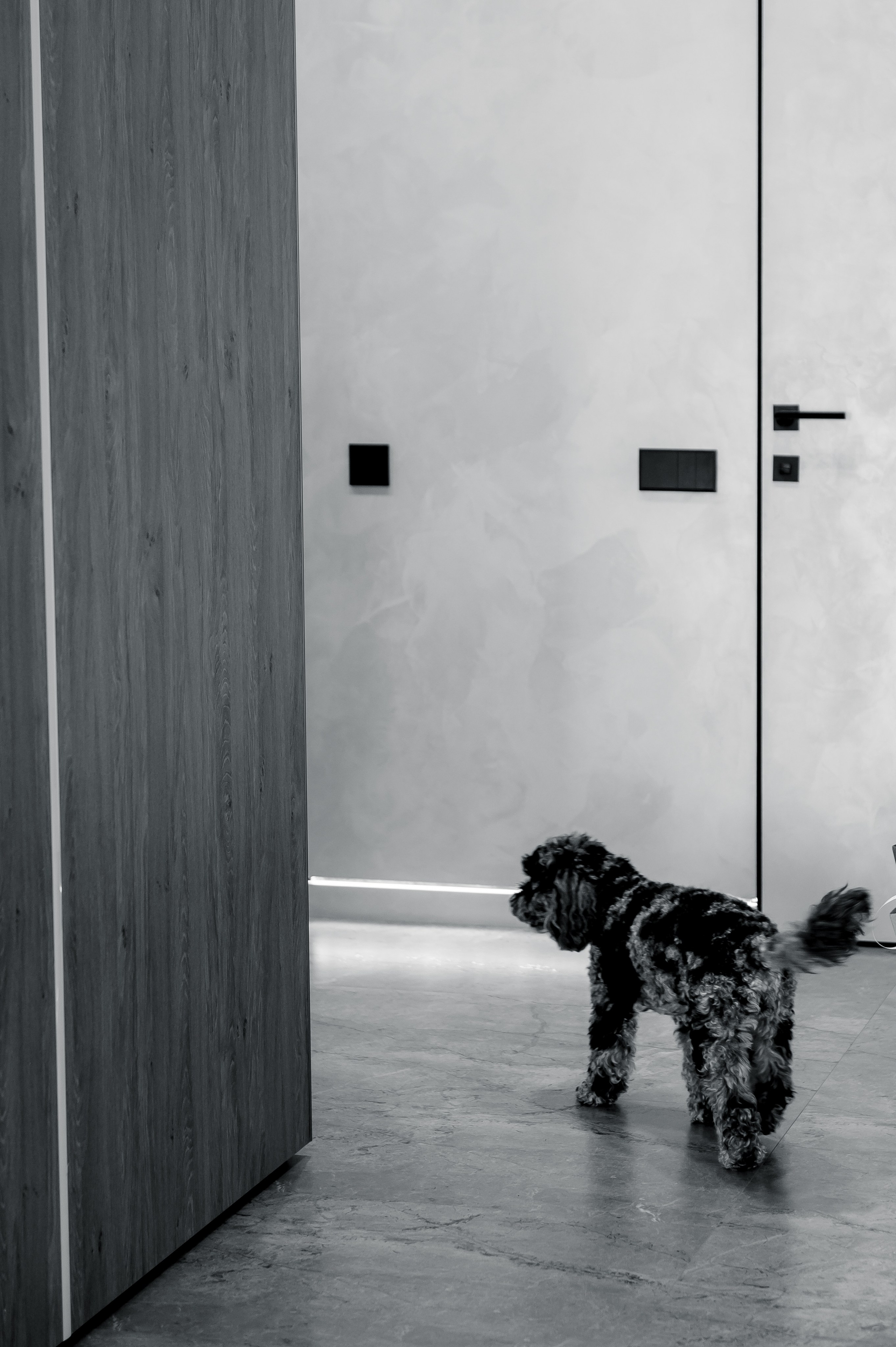 Свадьба Алекасндры и Александра. Свадебный и семейный фотограф в Ставрополе Роман Иванов