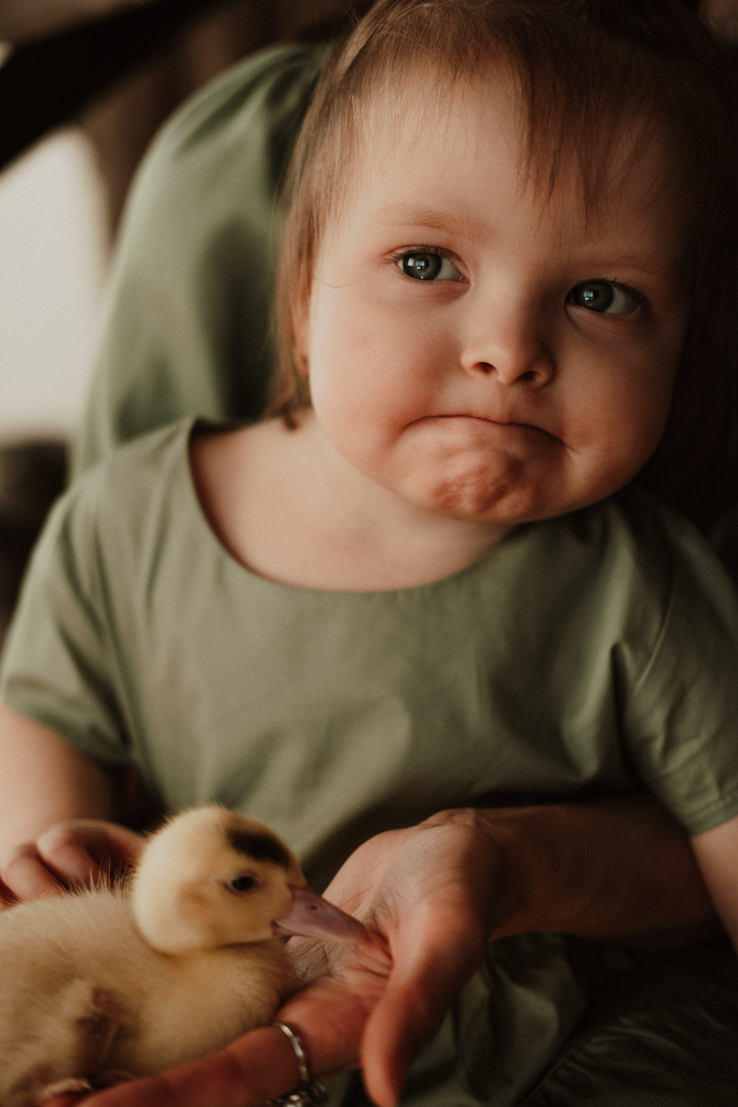 Утята. Свадебный фотограф Челябинск