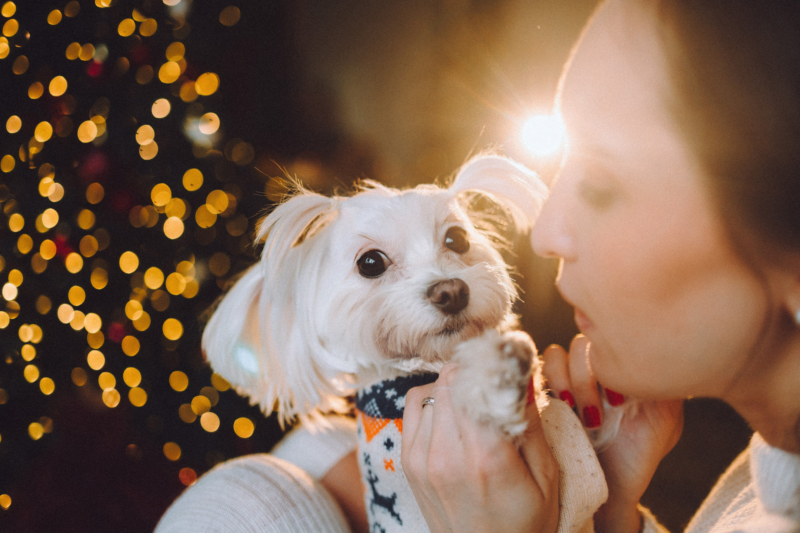 Констанция и Молли