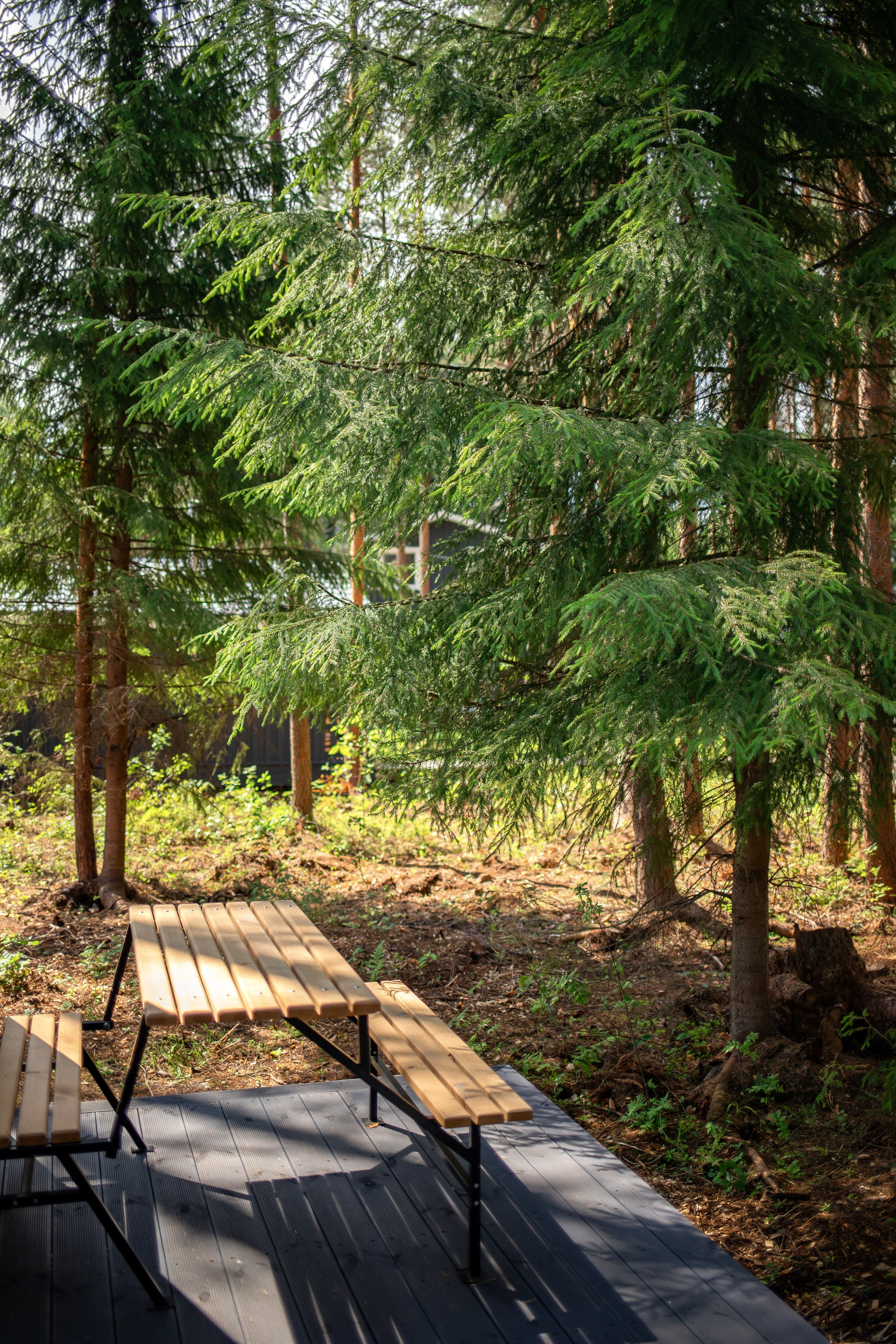 База отдыха Тосненский район ЛО. Фотограф недвижимости и контент-съемки в СПб