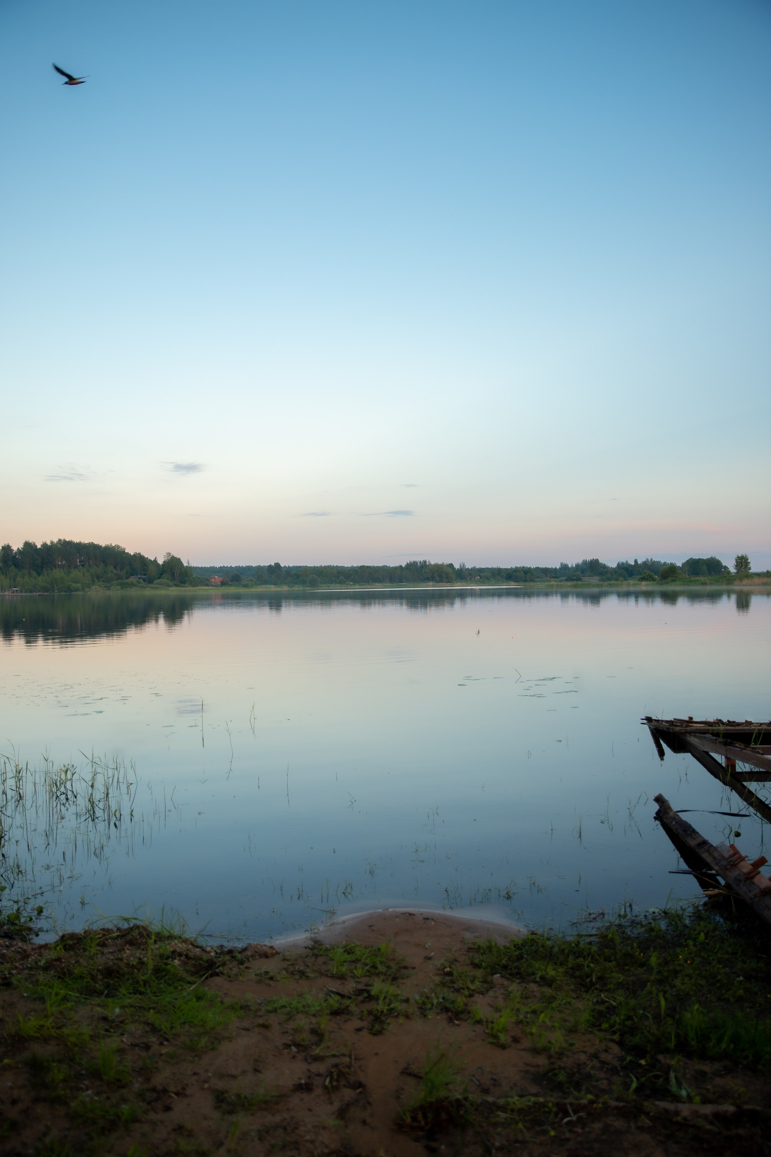 База отдыха в Тверской области. Территория. Фотограф недвижимости и контент-съемки в СПб