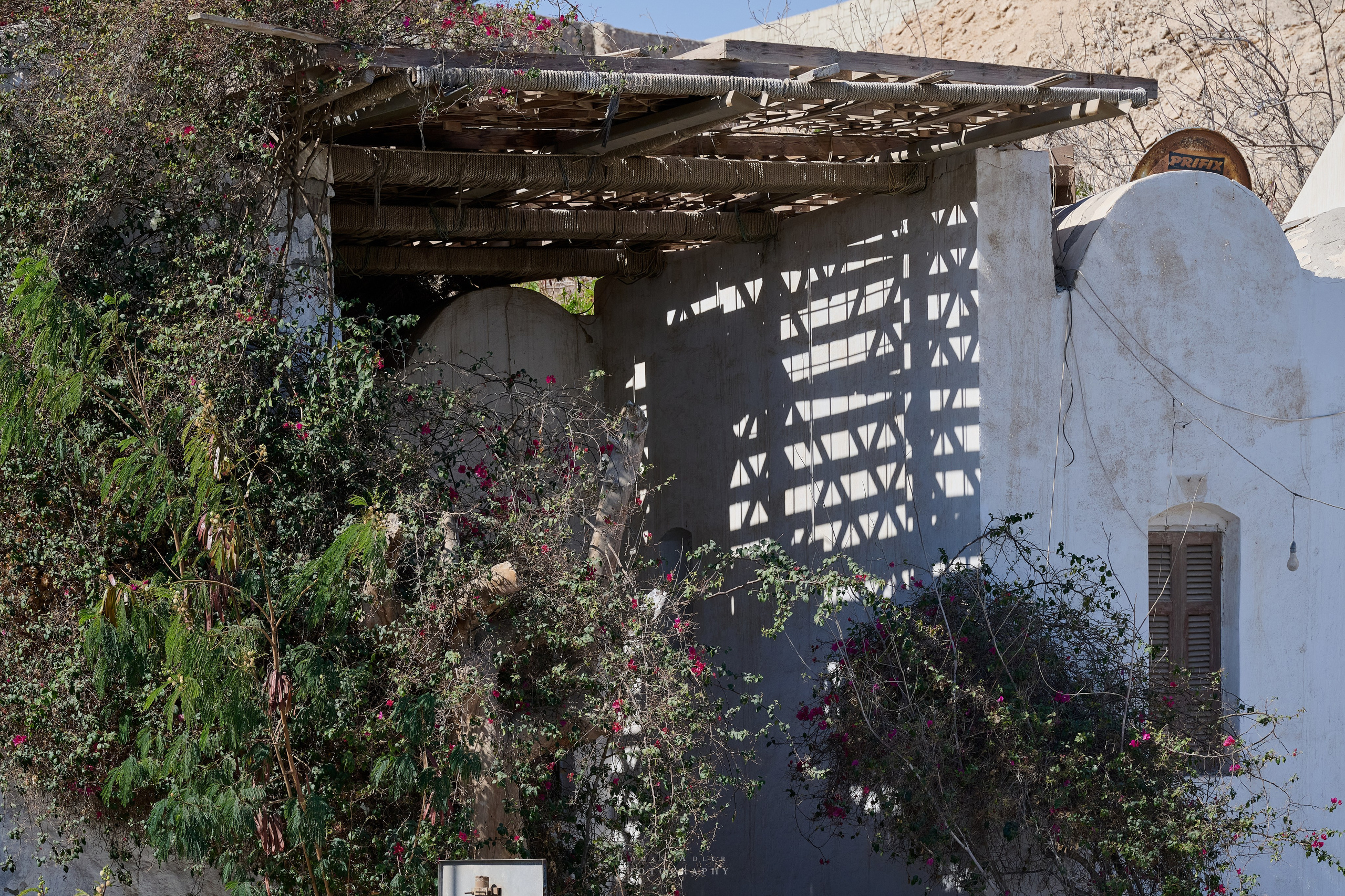 Хургада. Февраль 2025. Фотограф Роман Адлер