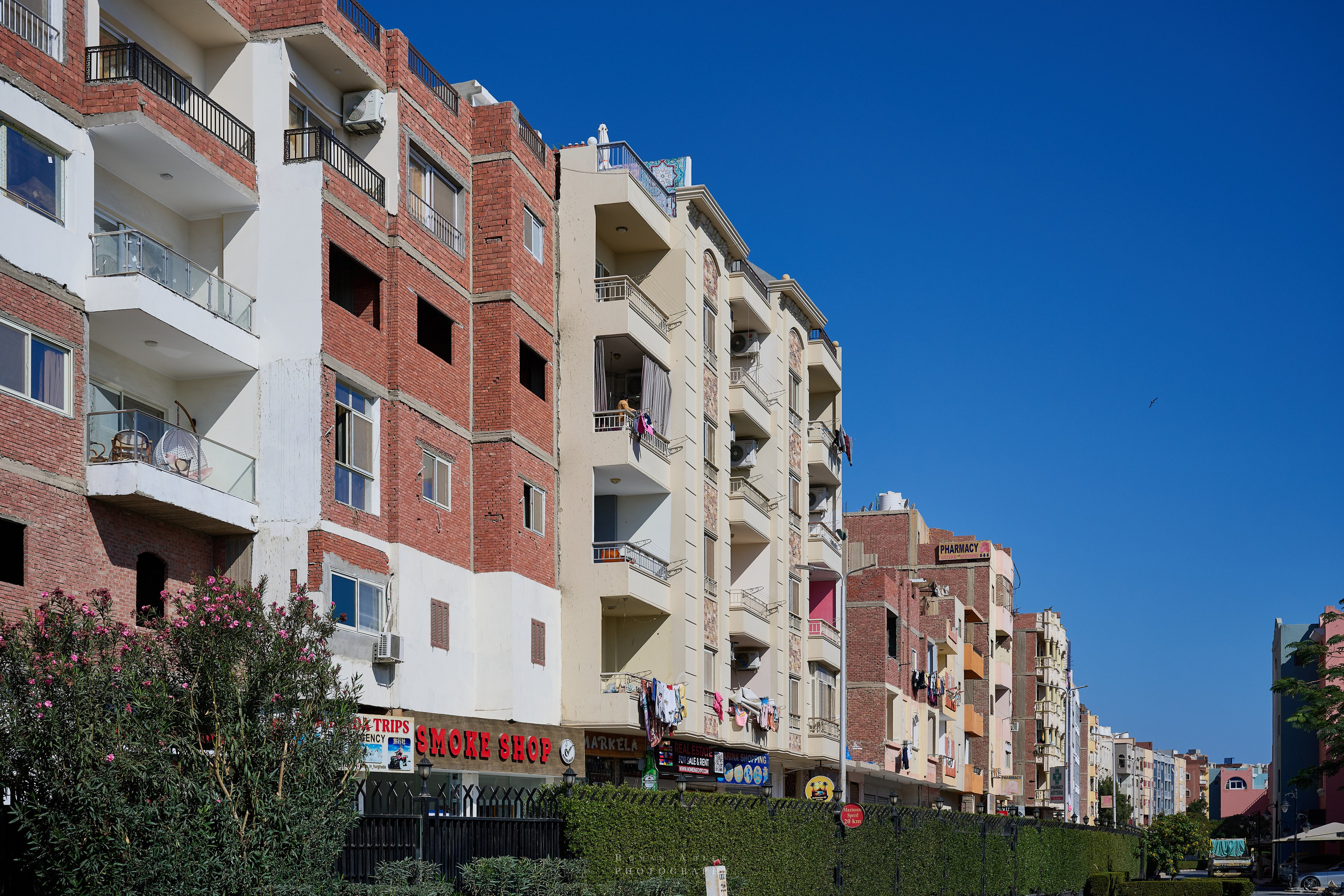 Хургада. Февраль 2025. Фотограф Роман Адлер