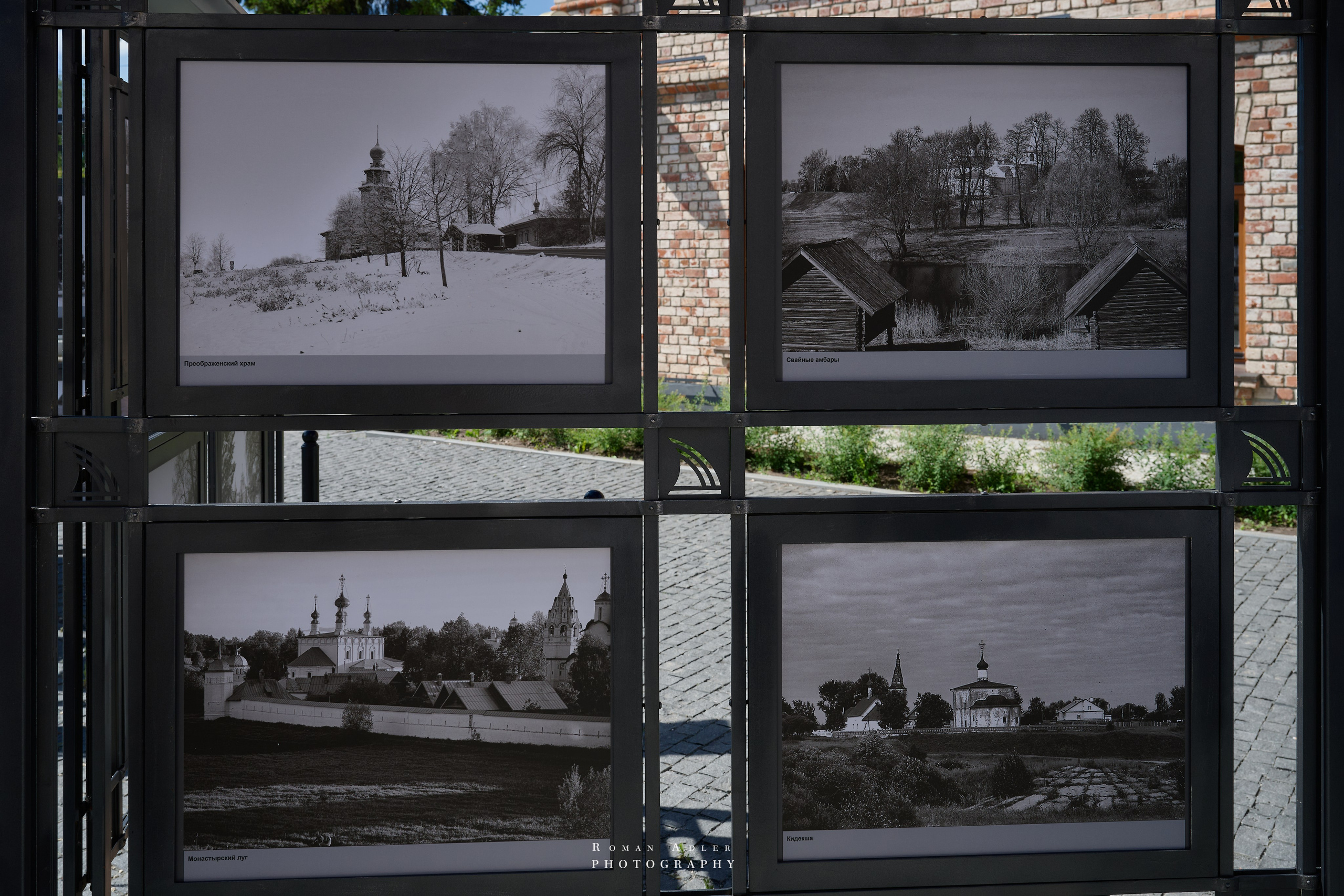Суздаль. Июнь 2025. Фотограф Роман Адлер