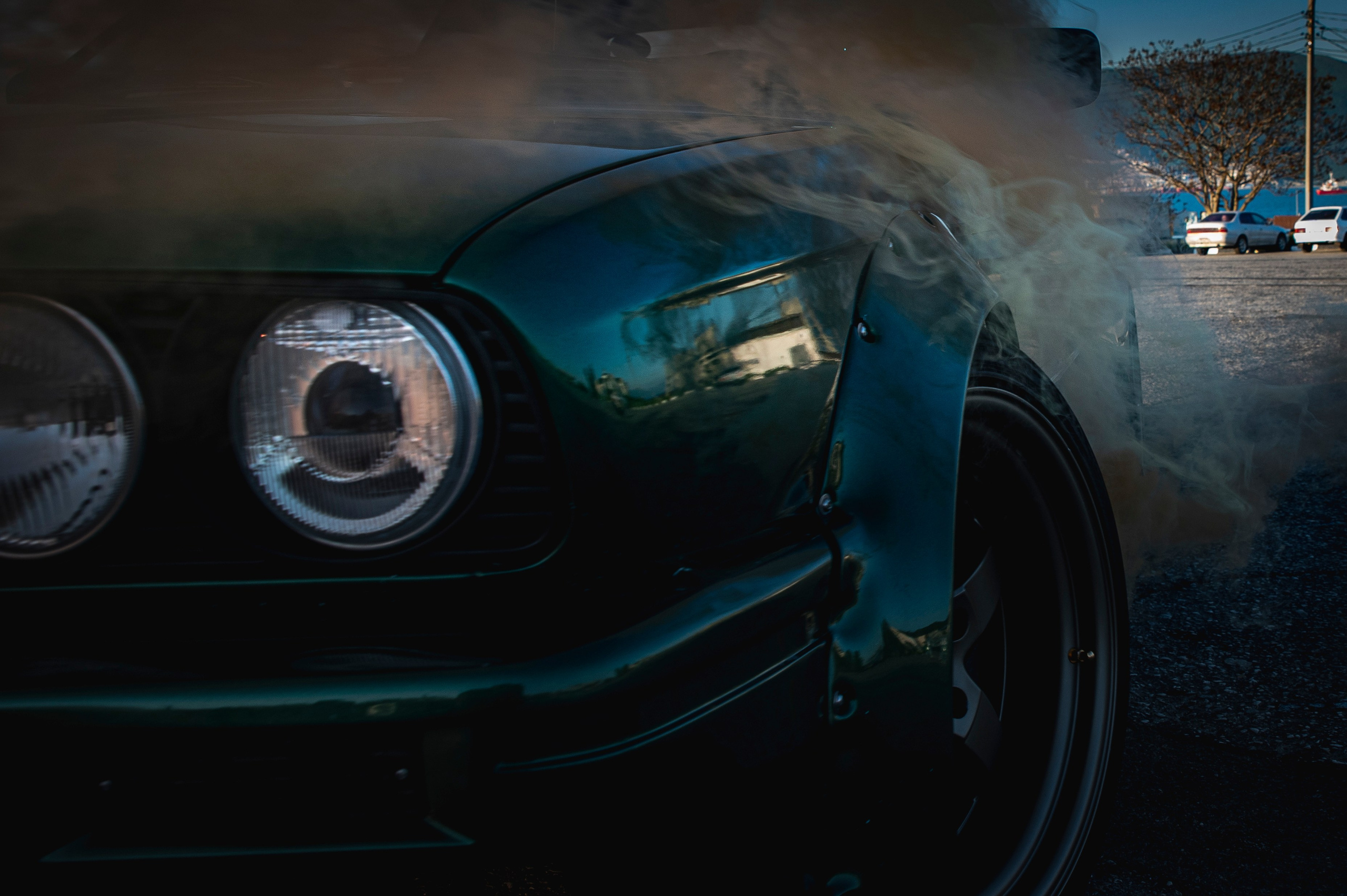 БМВ & Доберман. Фотограф Роман Адлер