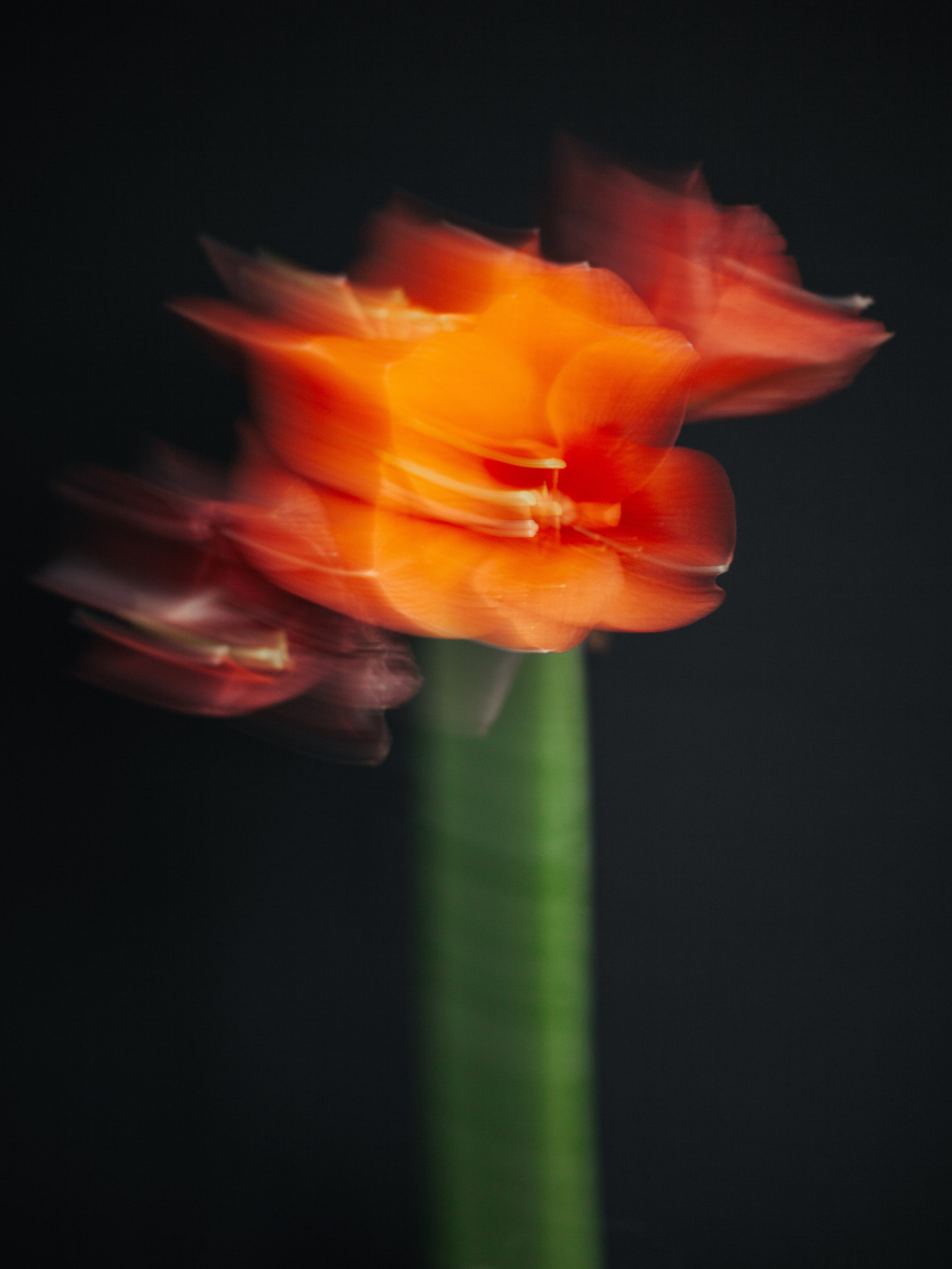 Ostryakov Daniil Photographer