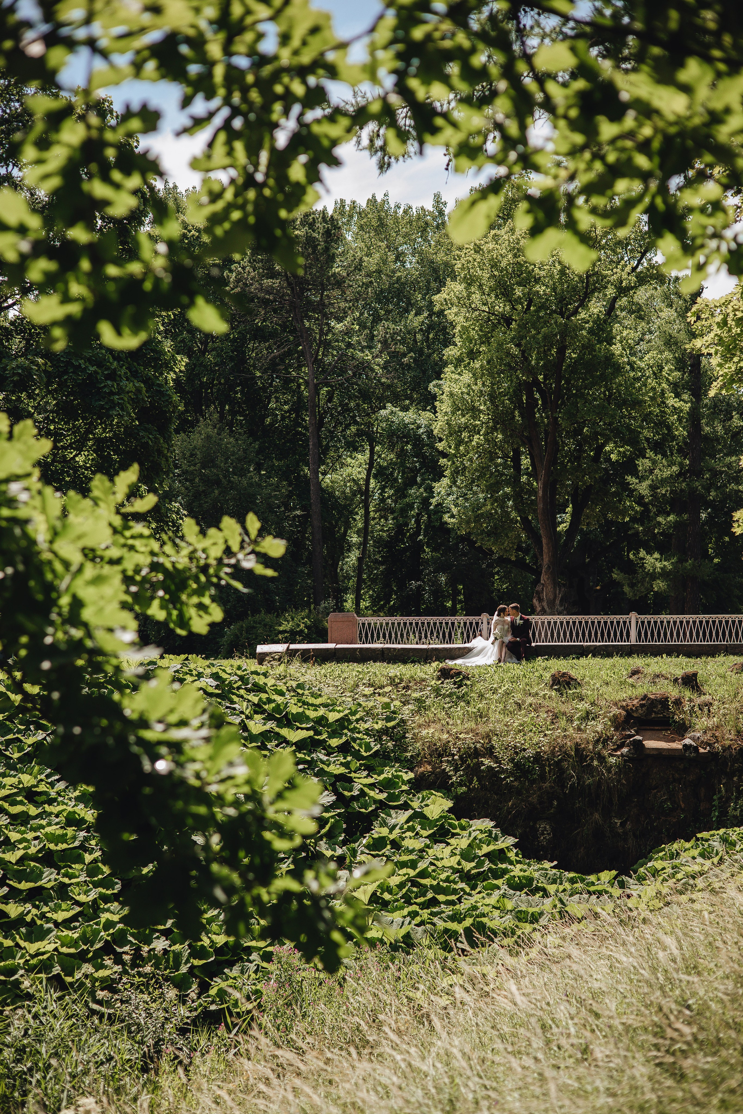 Саша & Настя. Полный день. Свадебный и семейный фотограф Пушкин Царское Село СПБ Питер Санкт-Петербург и Рязань Ольга Козлова