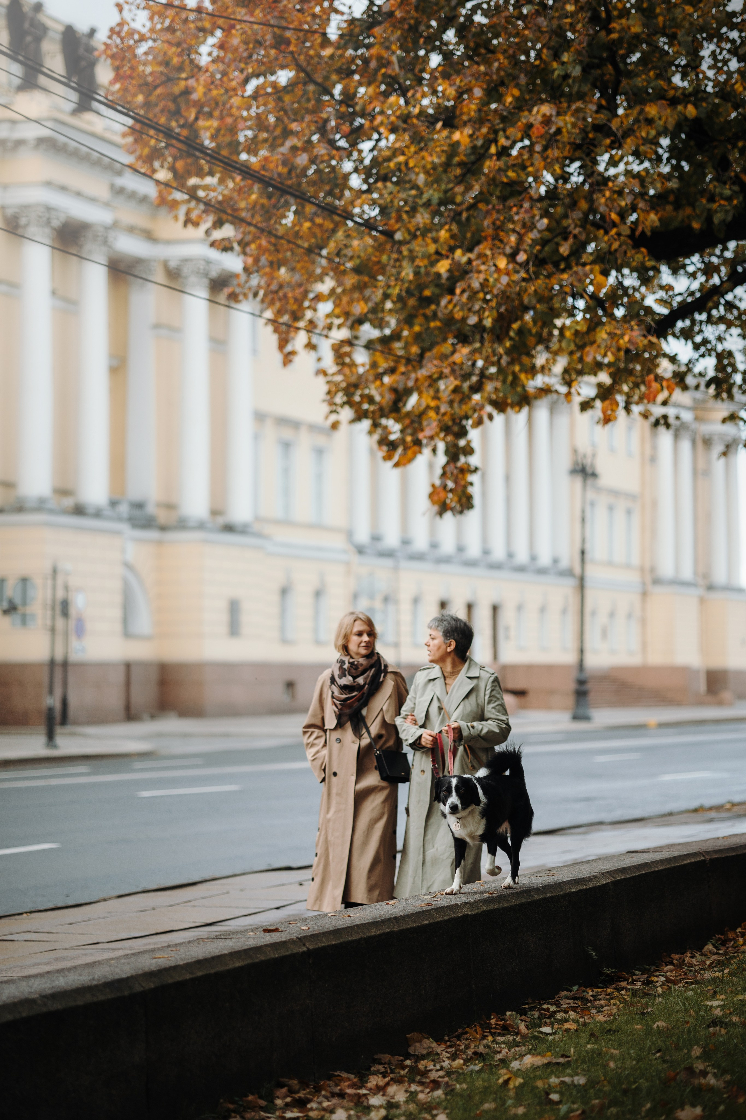 Мишель и ее семья. Фотограф — Анималист | Санкт-Петербург