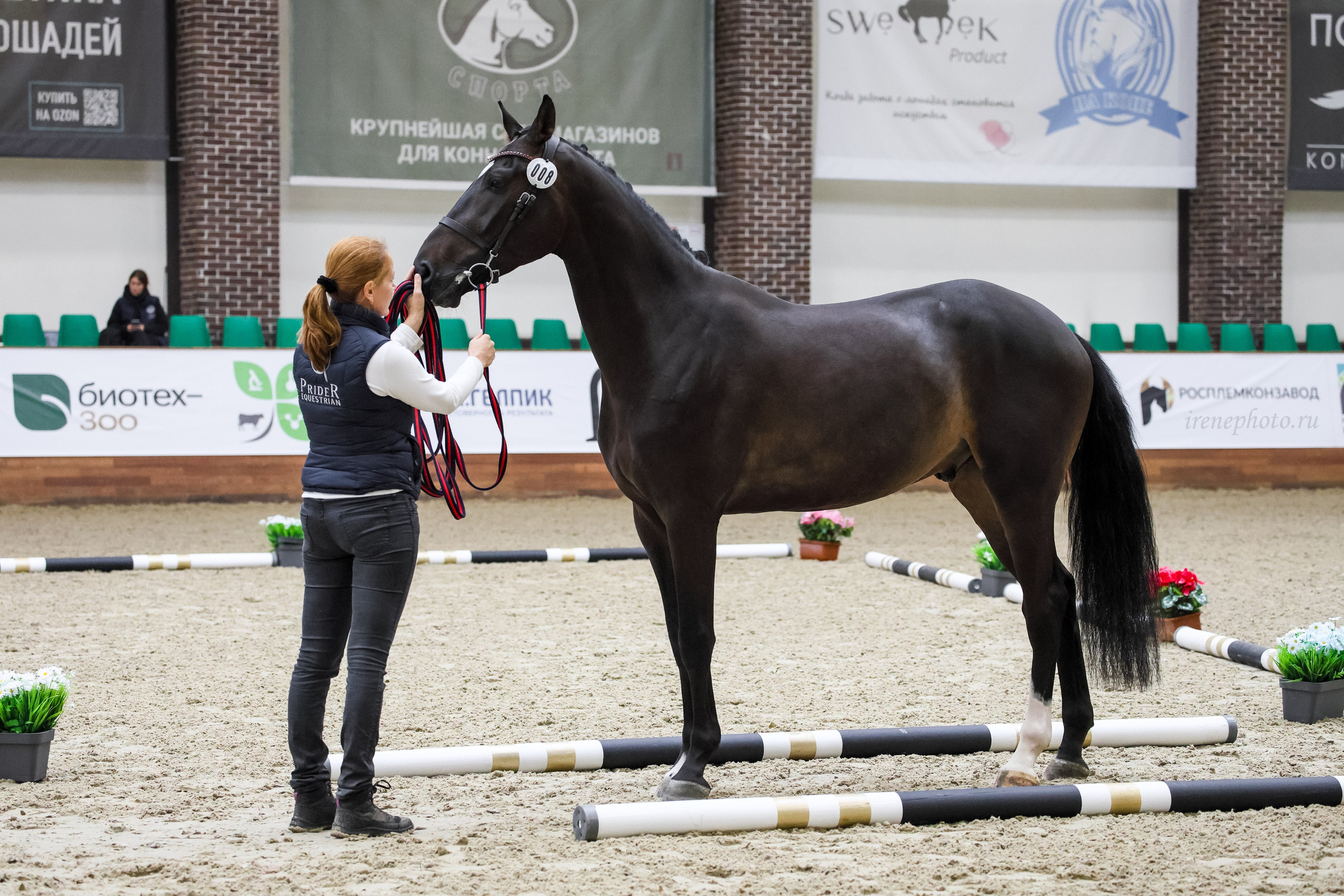 Конная Россия 2024. Irenephoto.ru