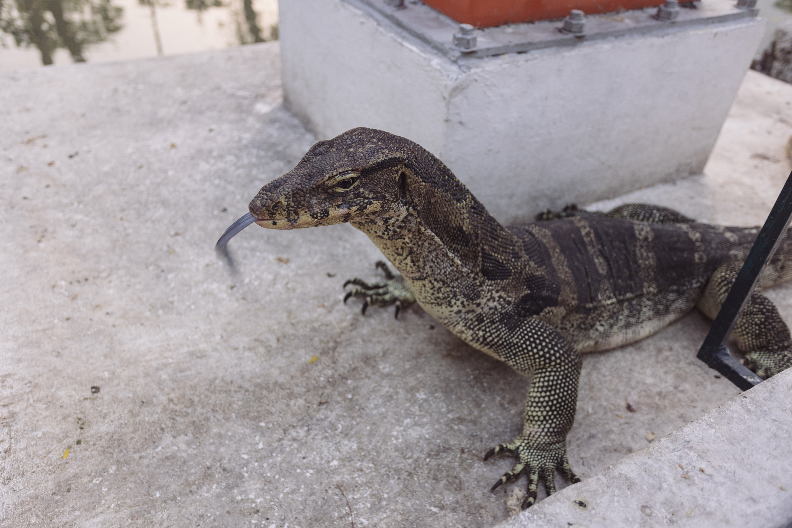 Bangkok. Фотограф Сонкина Татьяна