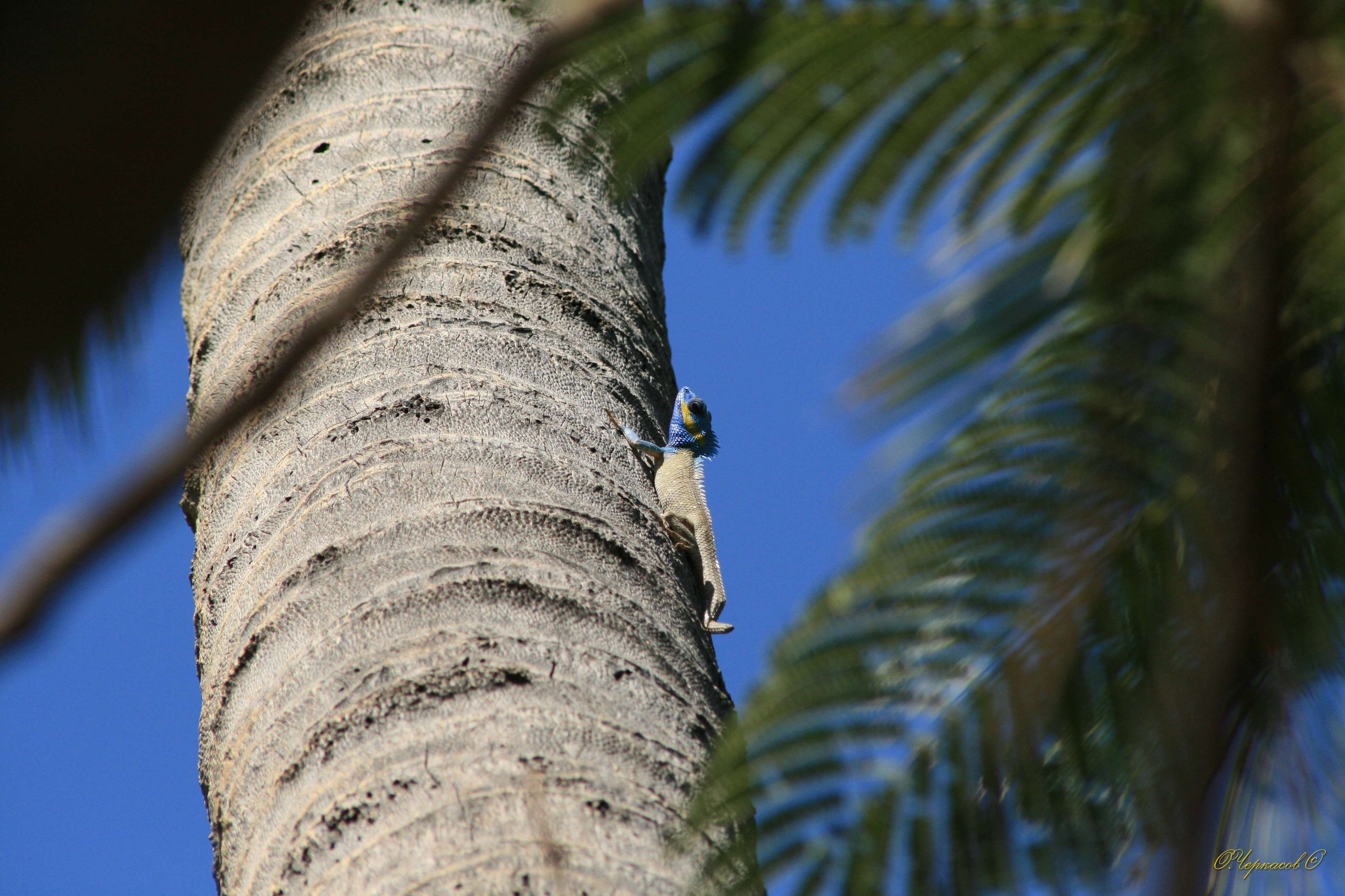 Вьетнам 2008 г. Улица, люди, жизнь…