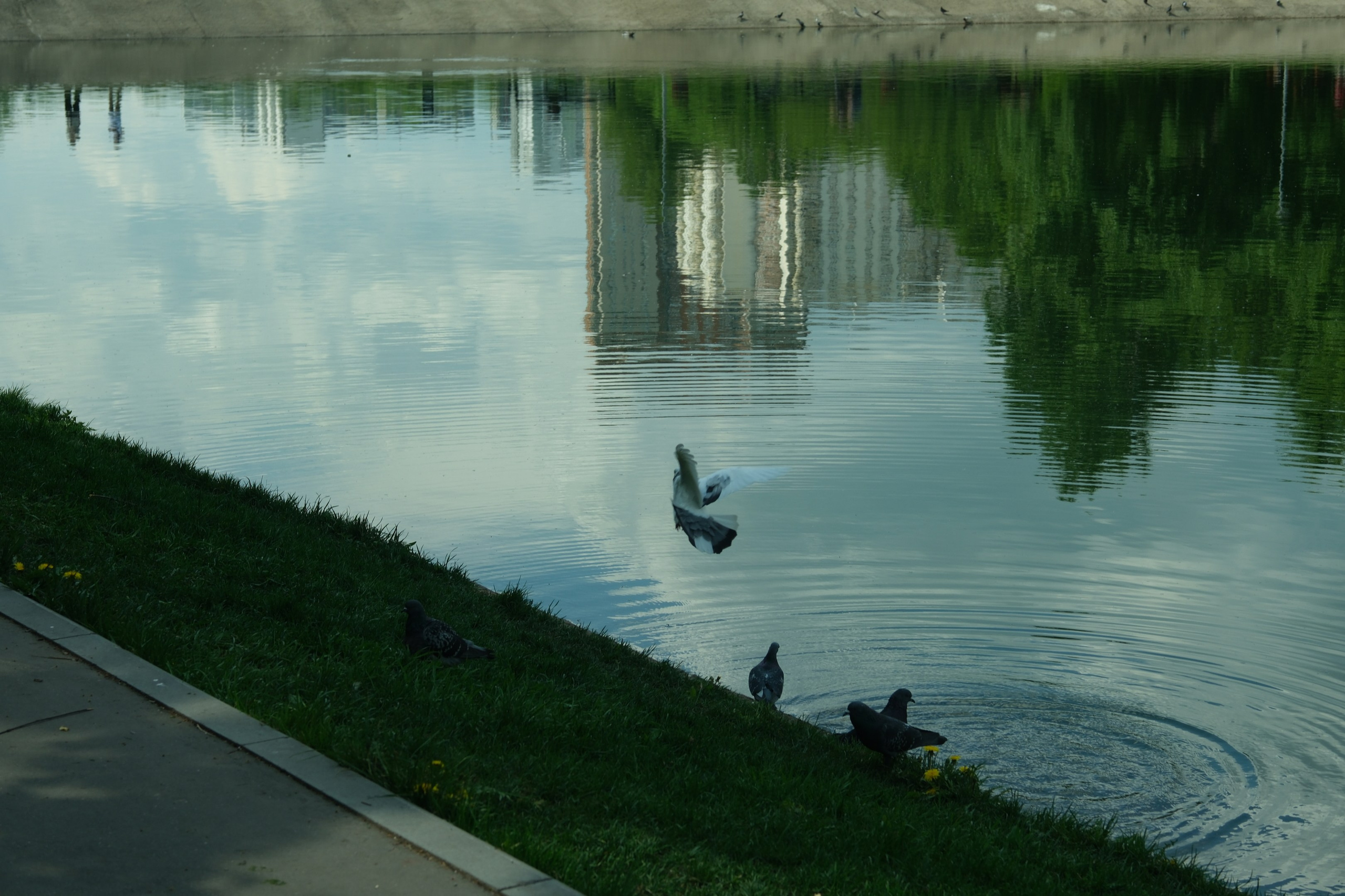 Кировоградские каскадные пруды 2024. Улица, люди, жизнь…