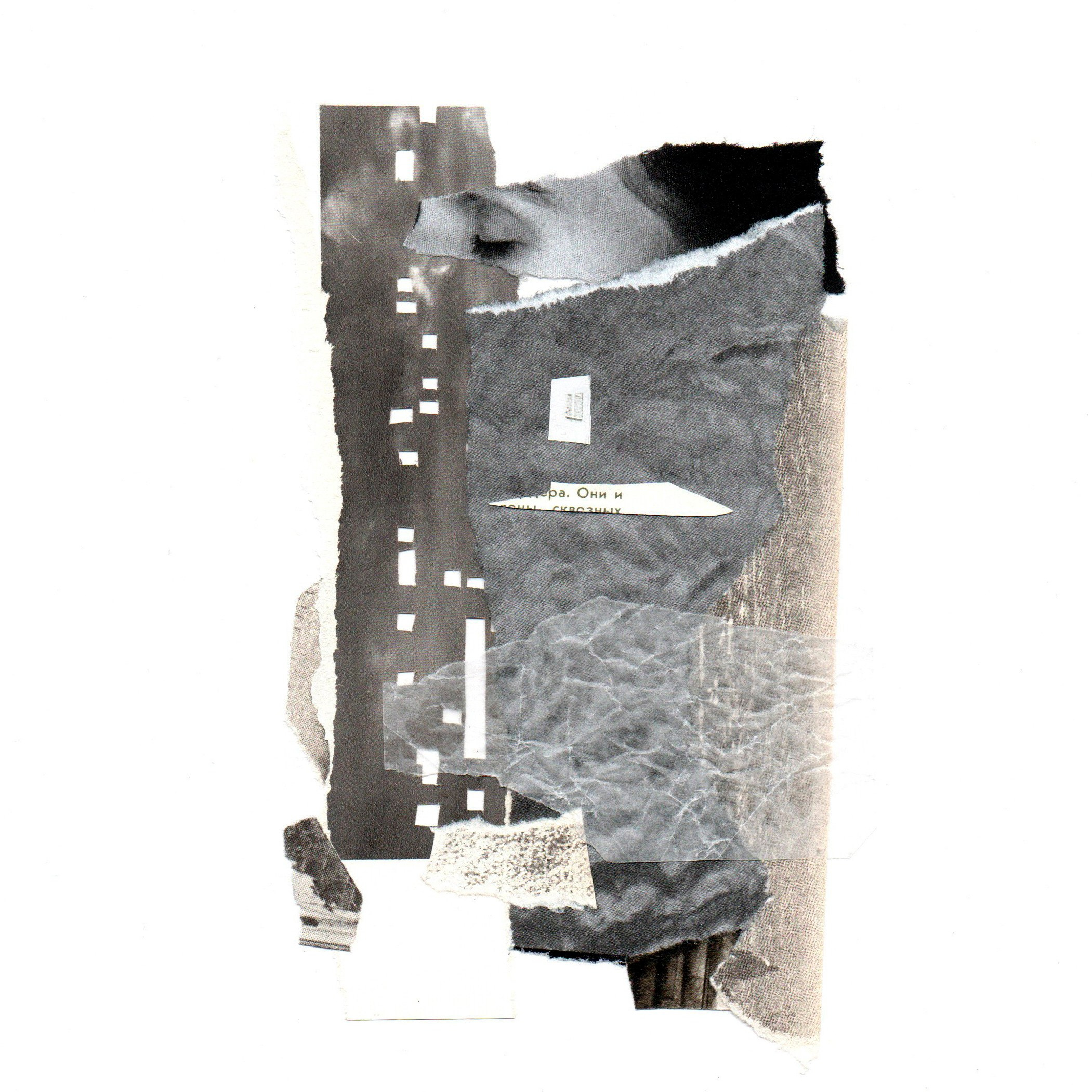 Коллажный дневник. Фотограф Анна Кирнос