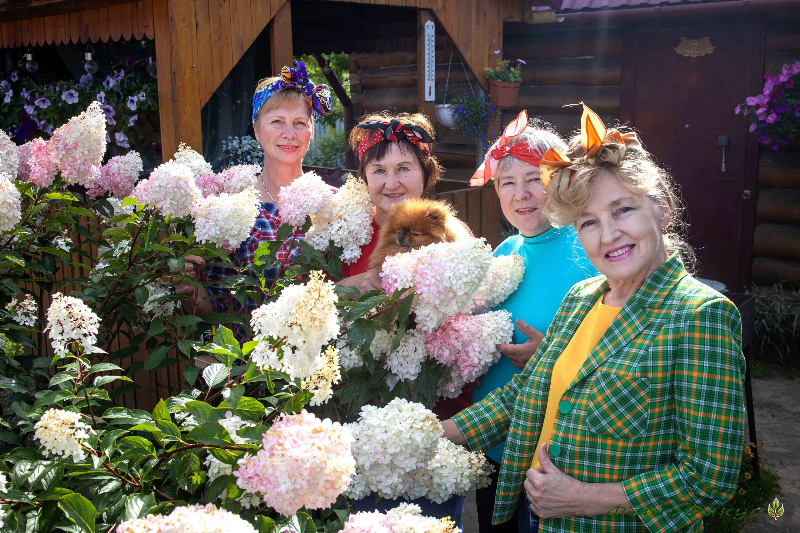 Прогулки и пикники. Фотографы Евгений и Екатерина. Фотофикус. Тюмень