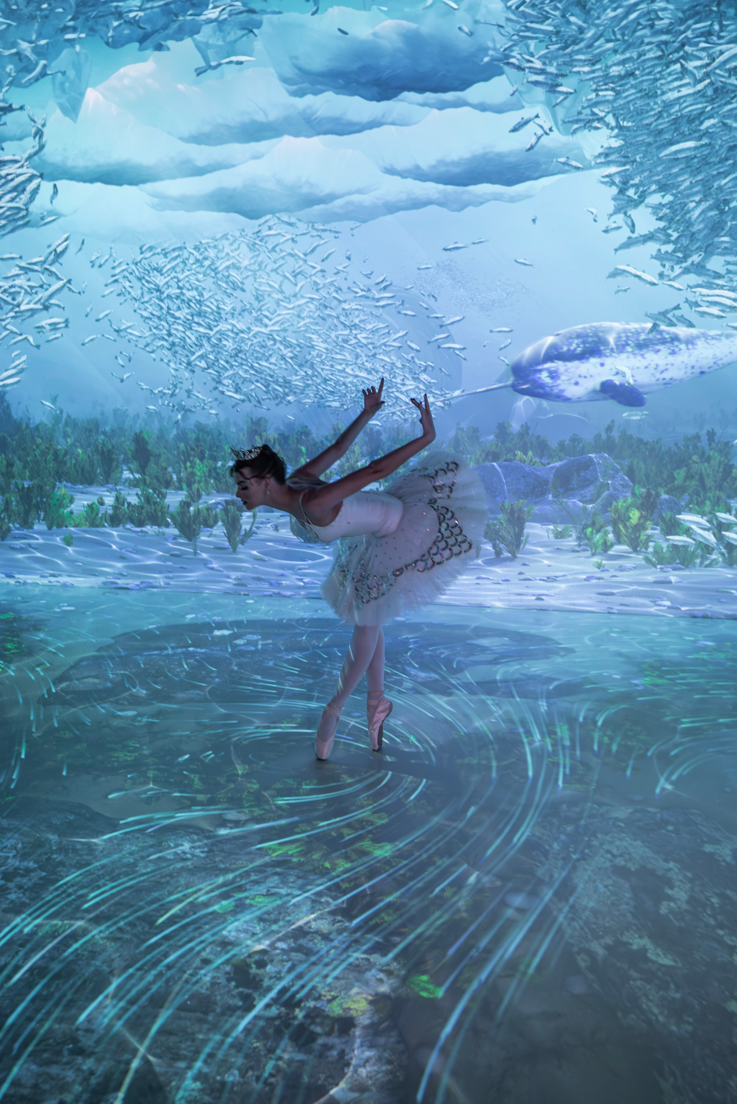 Интерактивная выставка. Фотограф Айгуль Вишня, съёмка в Москве и Санкт-Петербурге