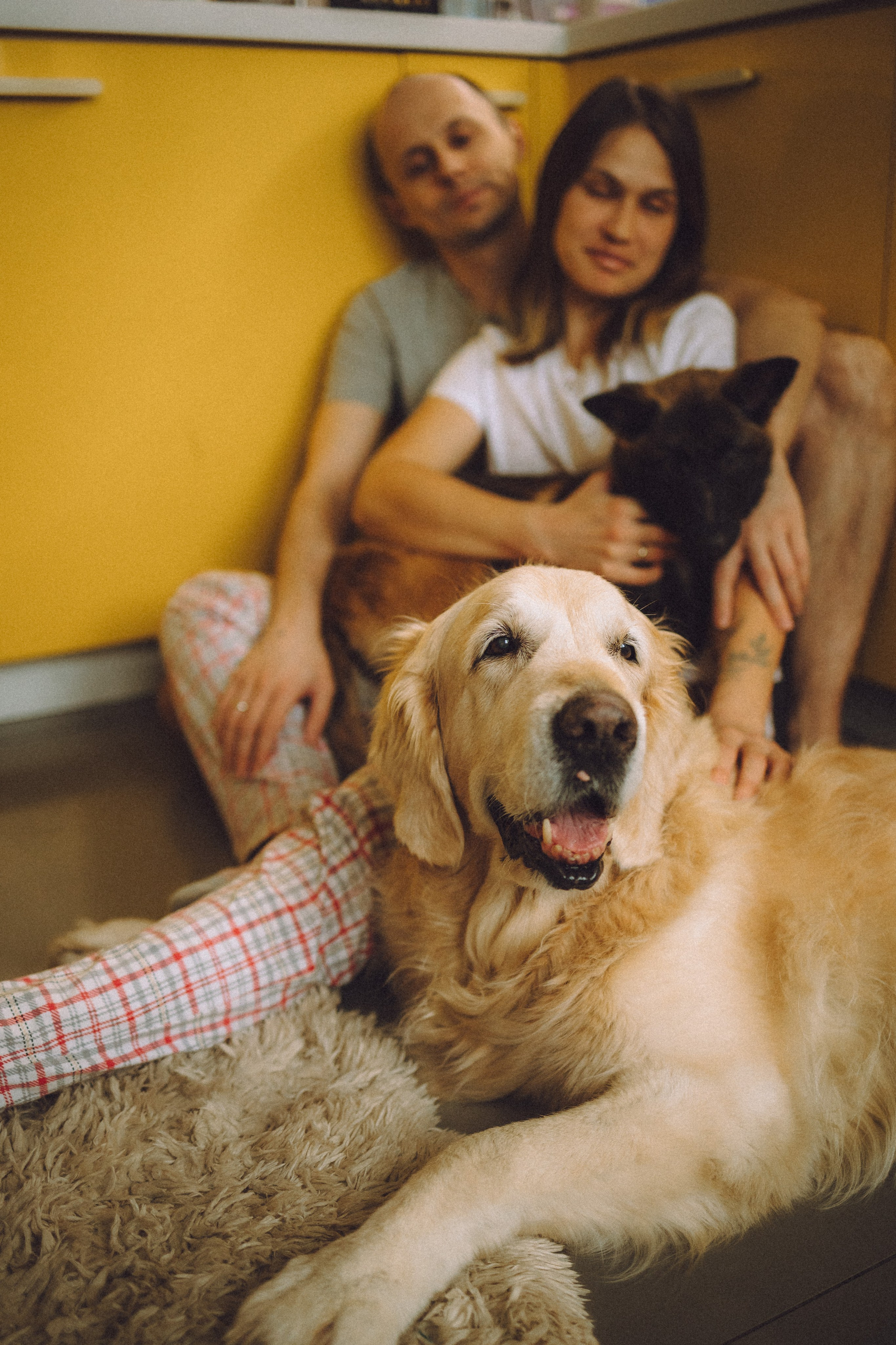 Ира, Андрей, Бэлла и Панда