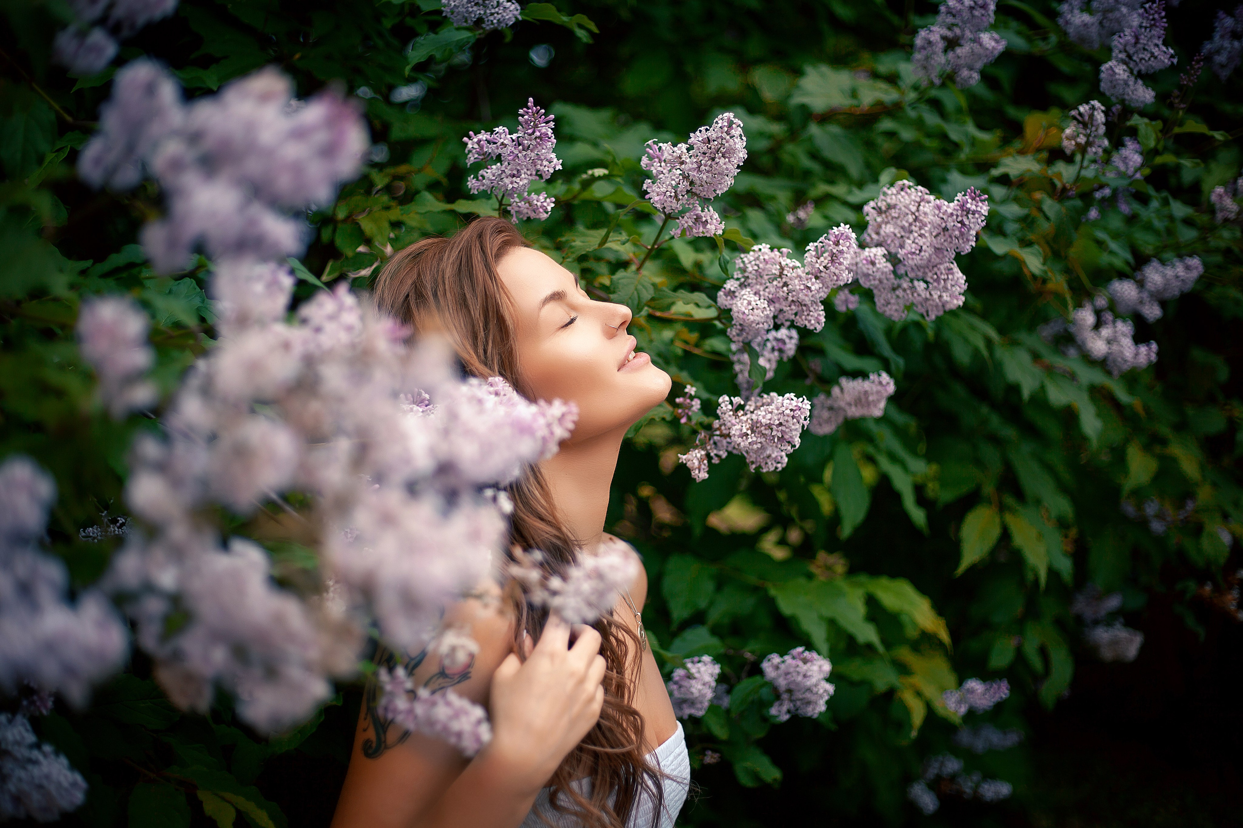 Люпины. Фотограф Мария Кольцова