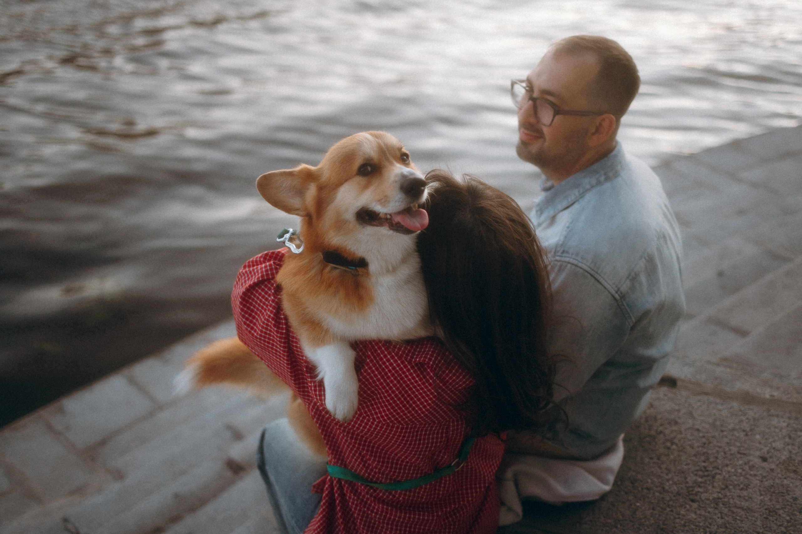 Момо, Люда и Эд. Фотограф анималист Анастасия Пикей