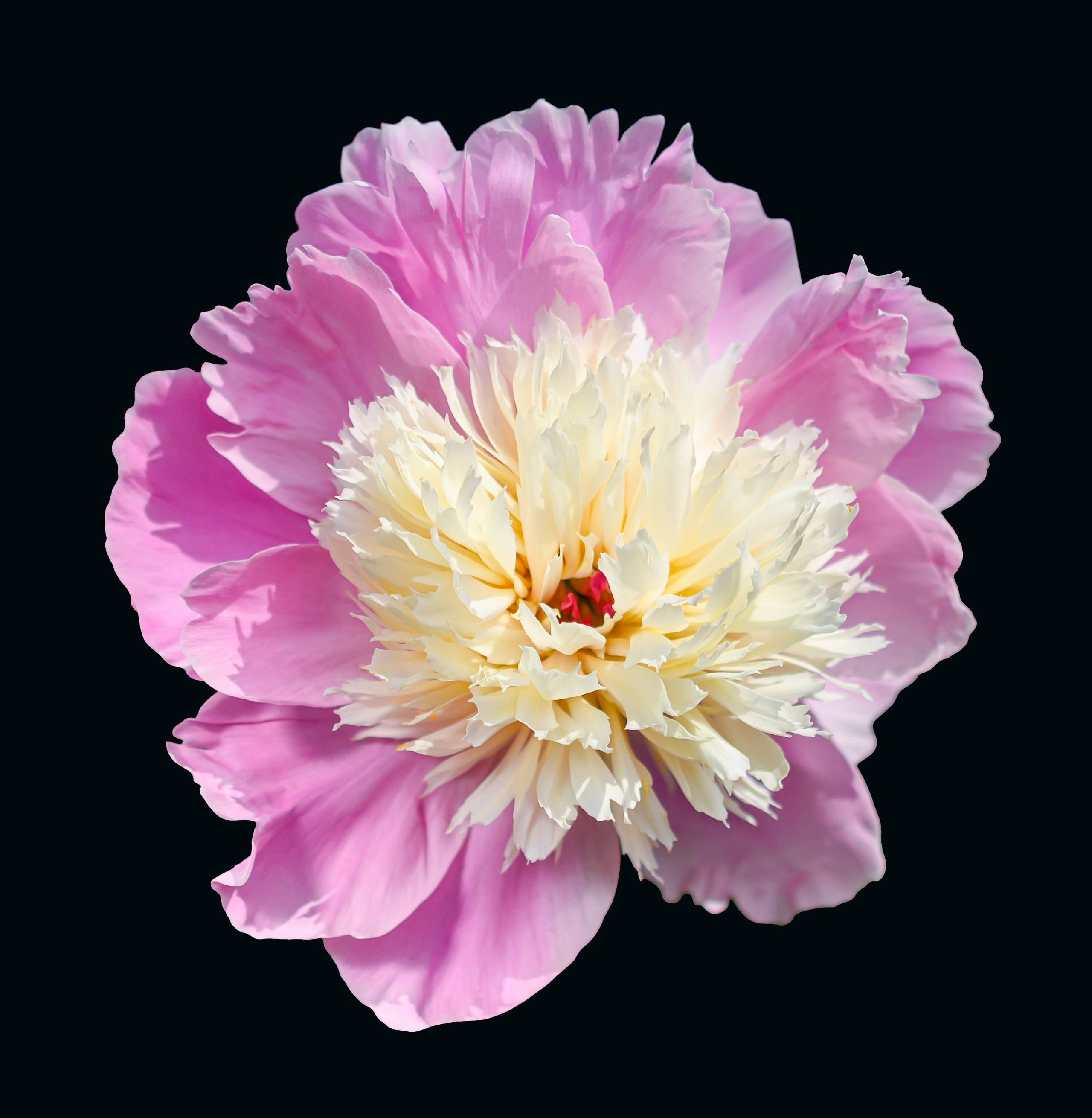 Разное. Fotolux