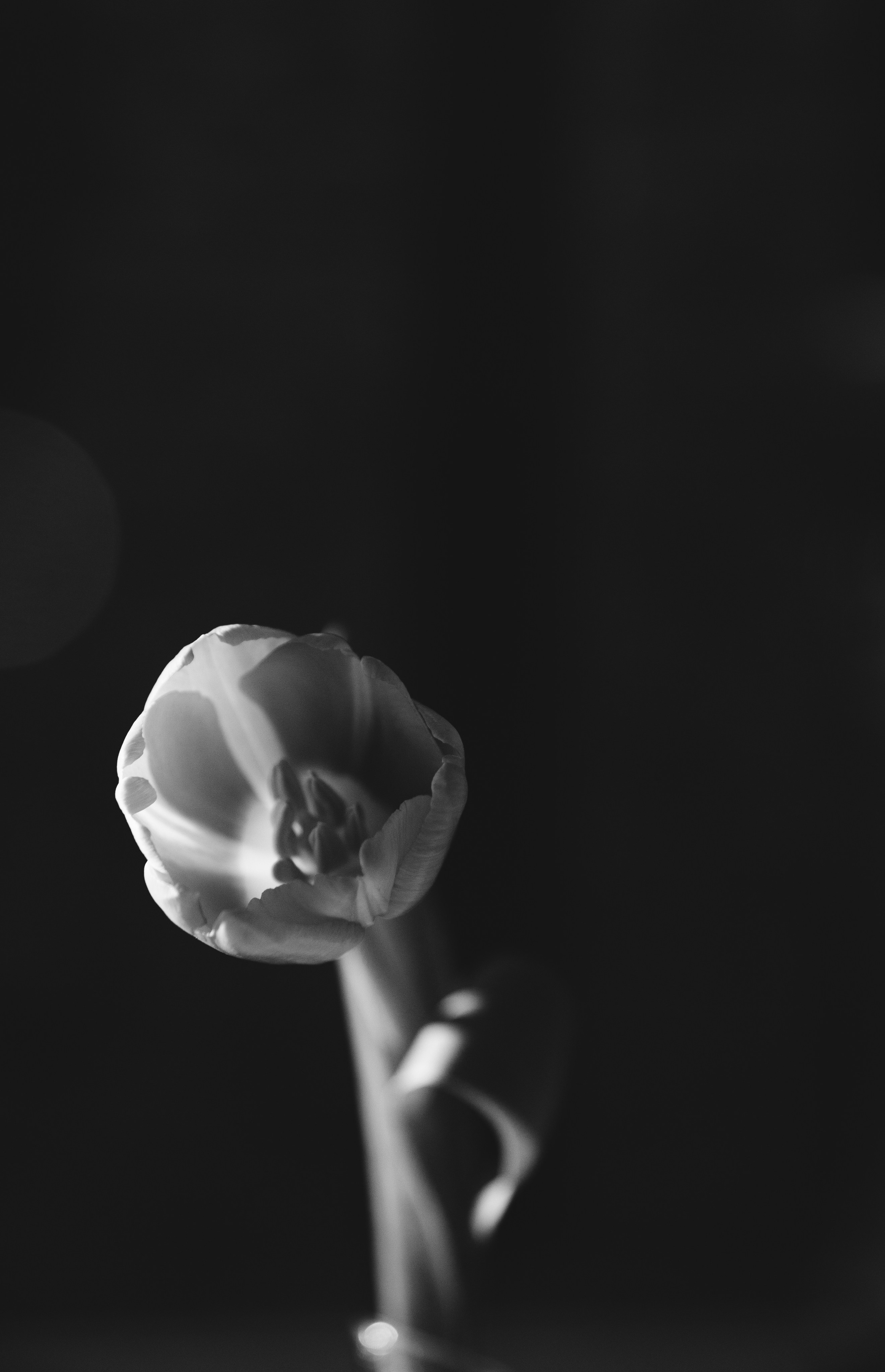 Рига-Москва малый зал. Фотограф Семён Гнеушев