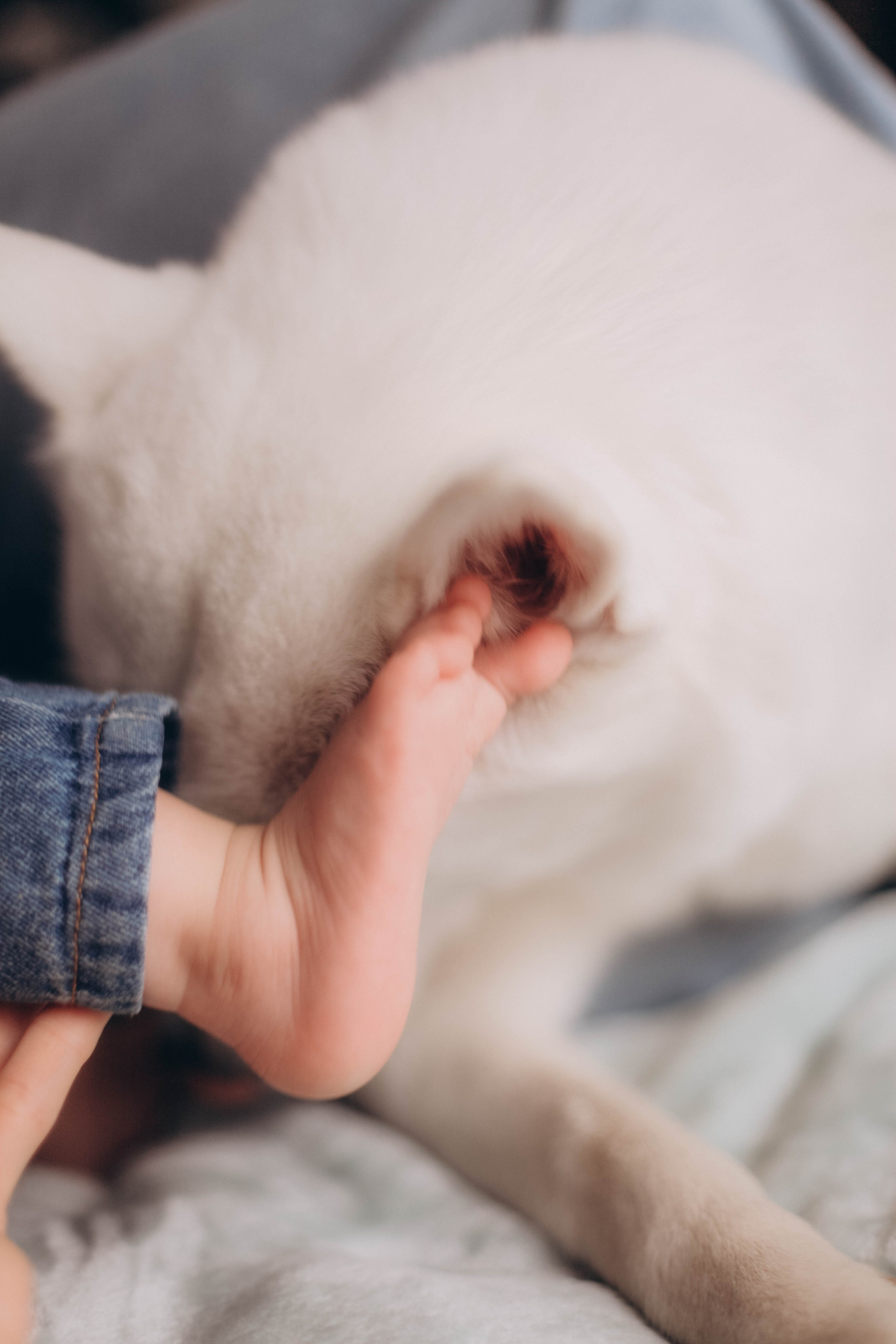 Лера. Семейная фотография в Санкт-Петербурге Елизавета Шепель