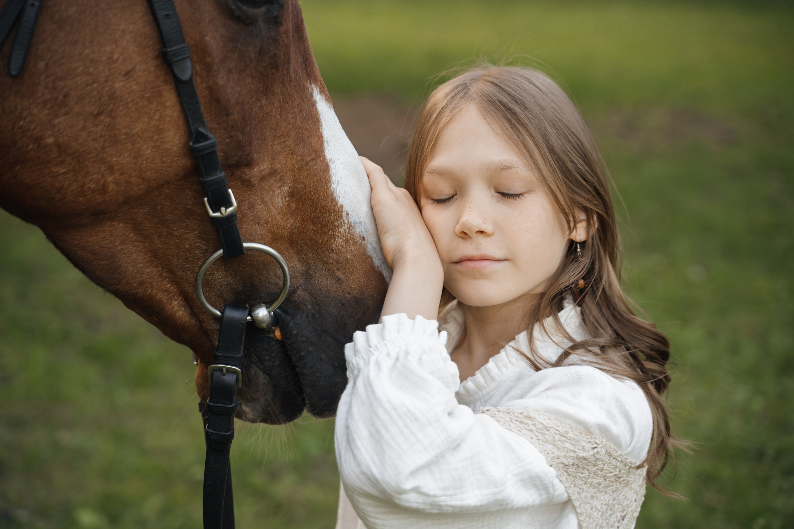 Семейная история с лошадьми. Главная