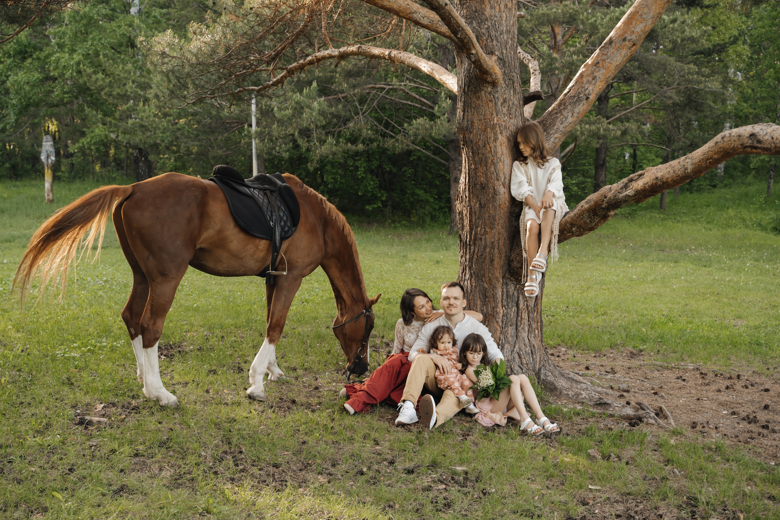 Семейная история с лошадьми. Главная