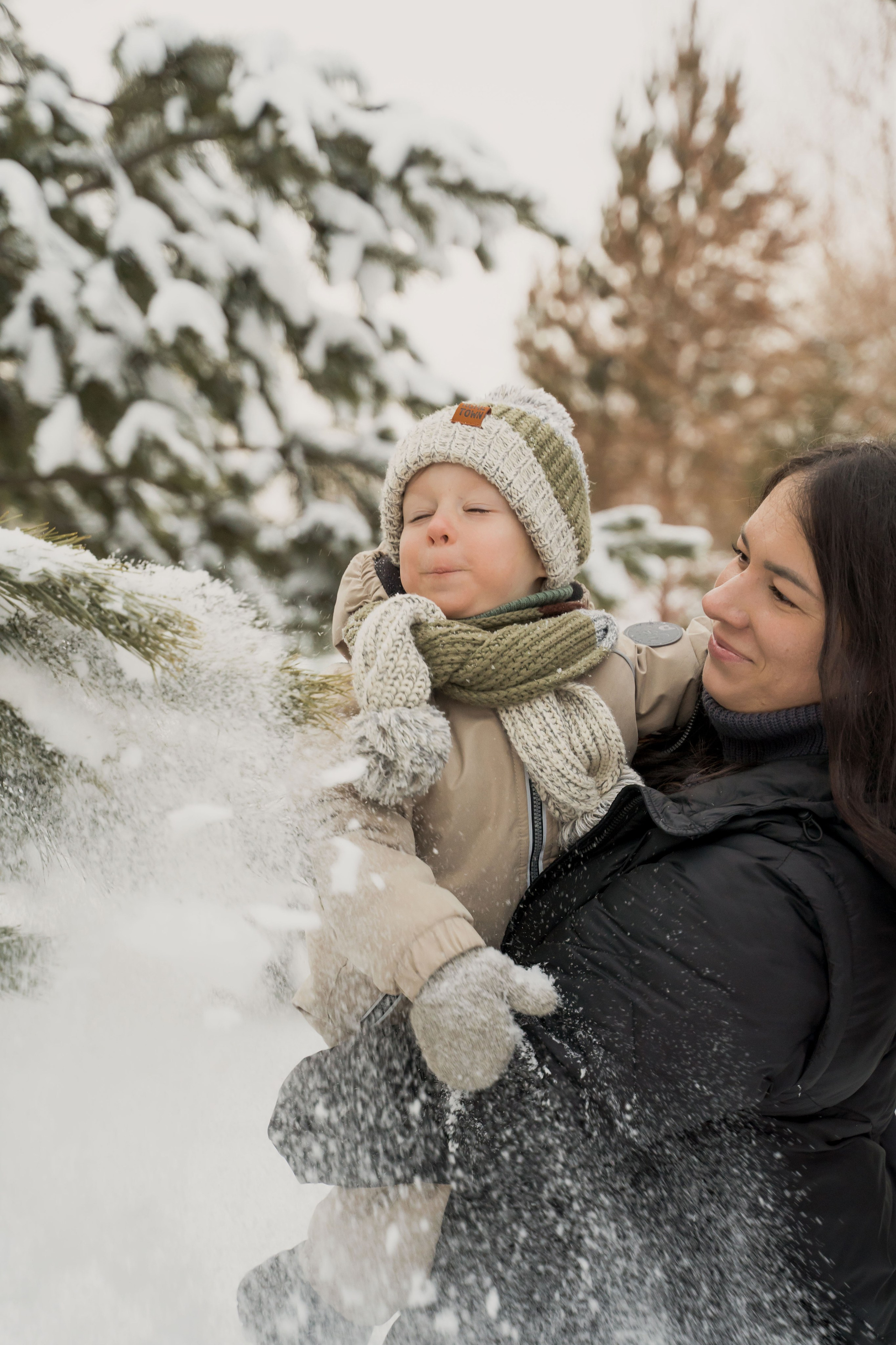 Зимняя прогулка. Главная