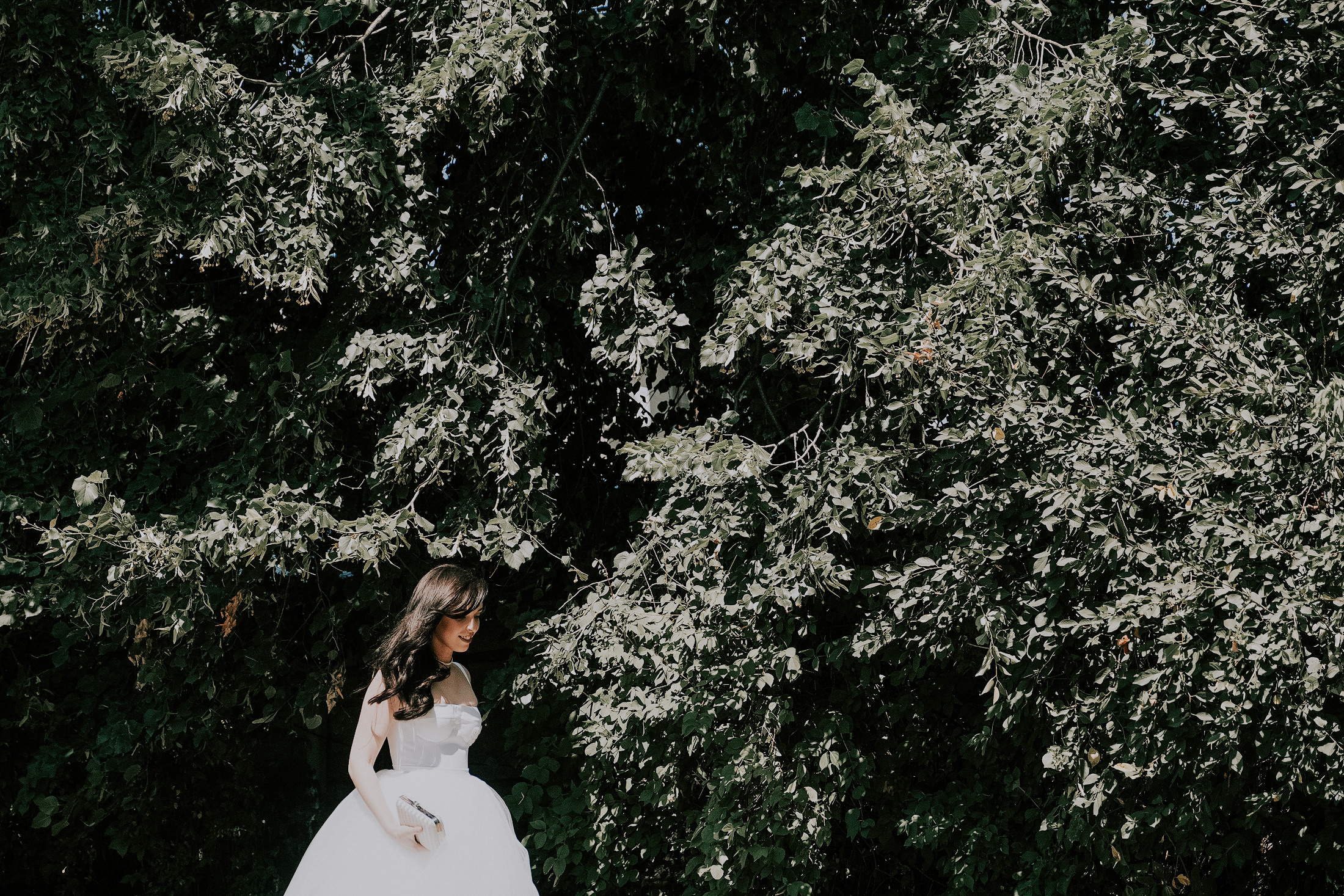 Свадебный день Станислава и Анны город Ставрополь. Семейный и свадебный фотограф в Ставрополе Заведеев Алексей