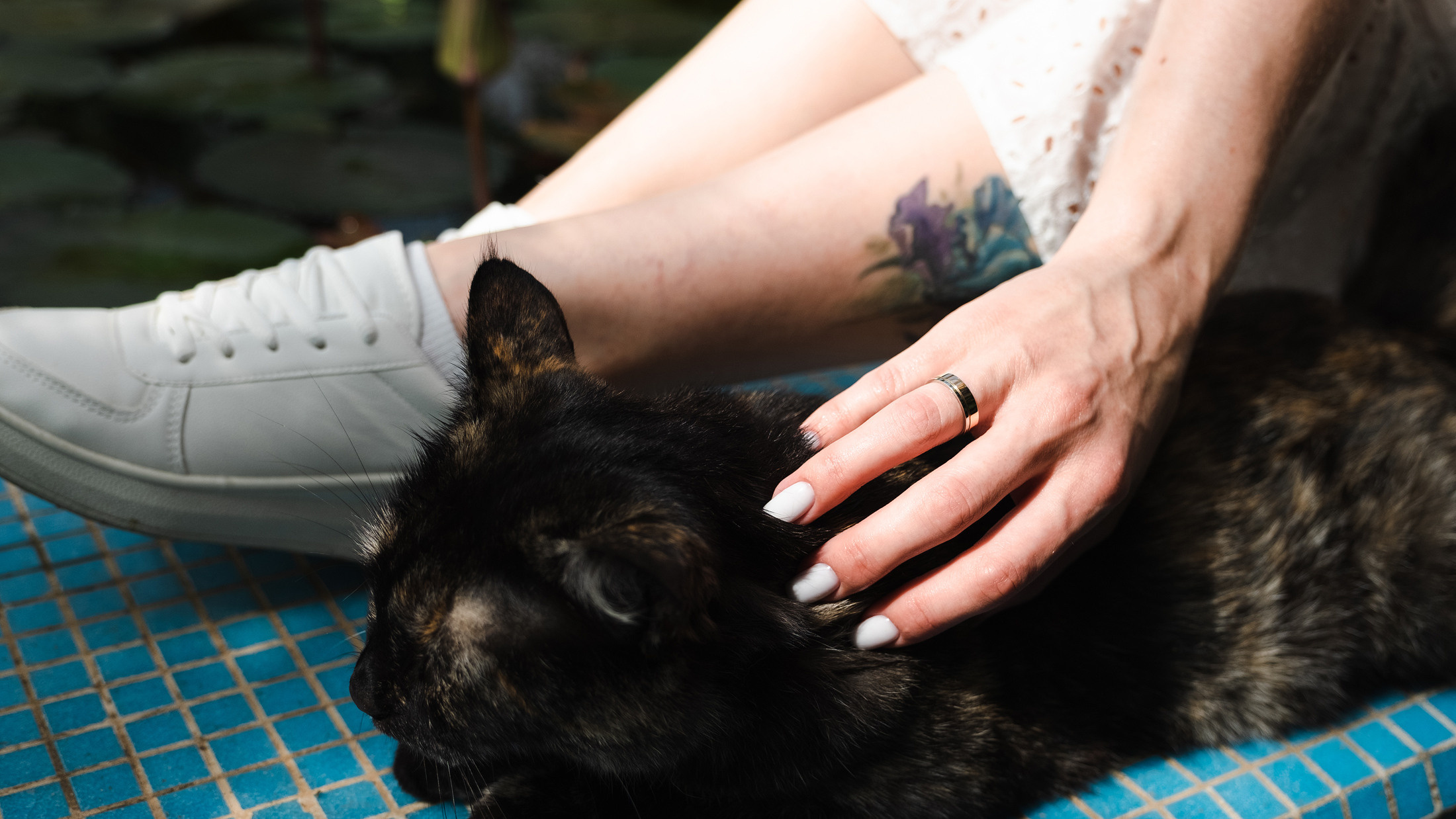 Свадебная прогулка Димы и Иры город Ставрополь. Семейный и свадебный фотограф в Ставрополе Заведеев Алексей