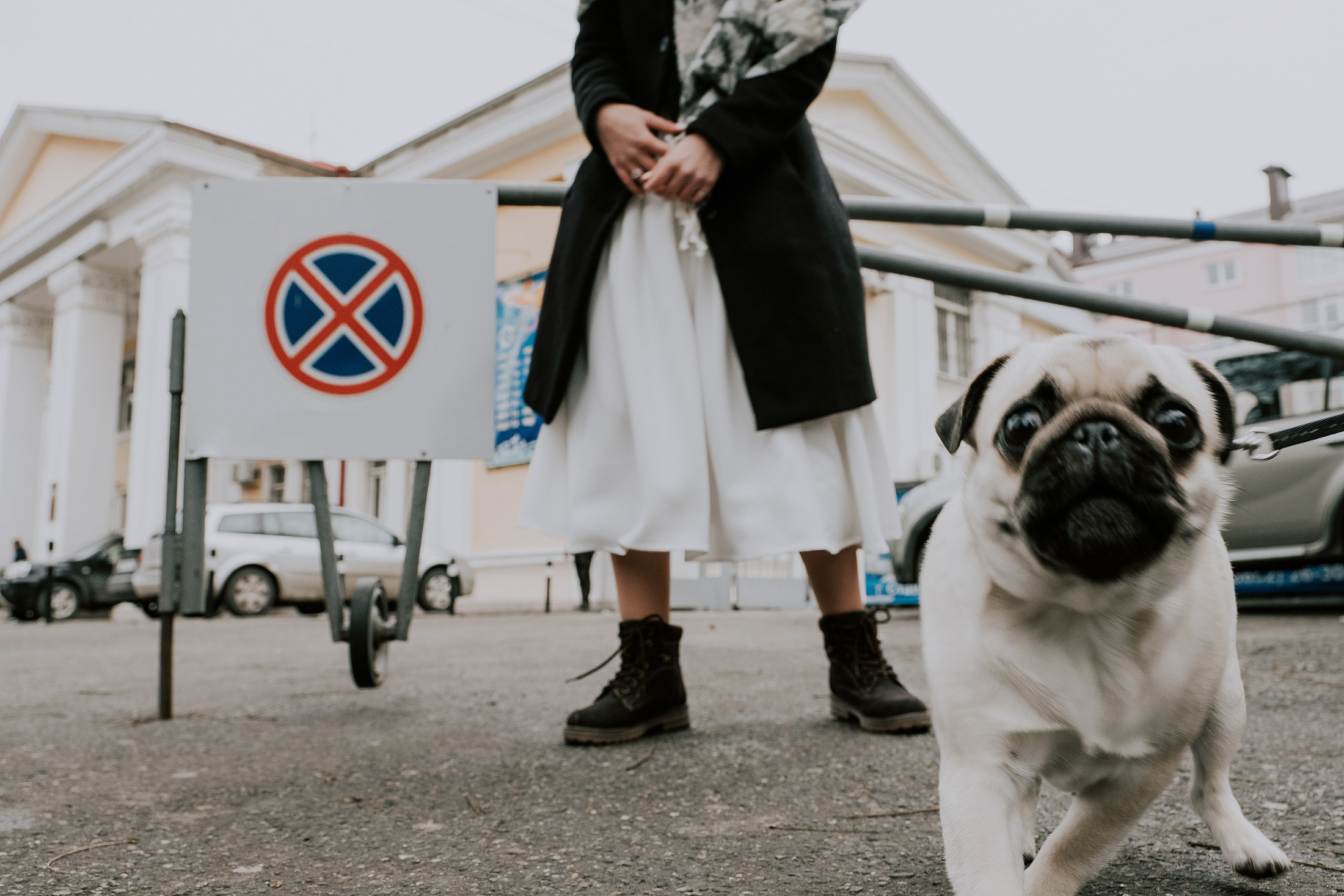 Свадебная съёмка «Бешеные Псы» Тарантино. Семейный и свадебный фотограф в Ставрополе Заведеев Алексей