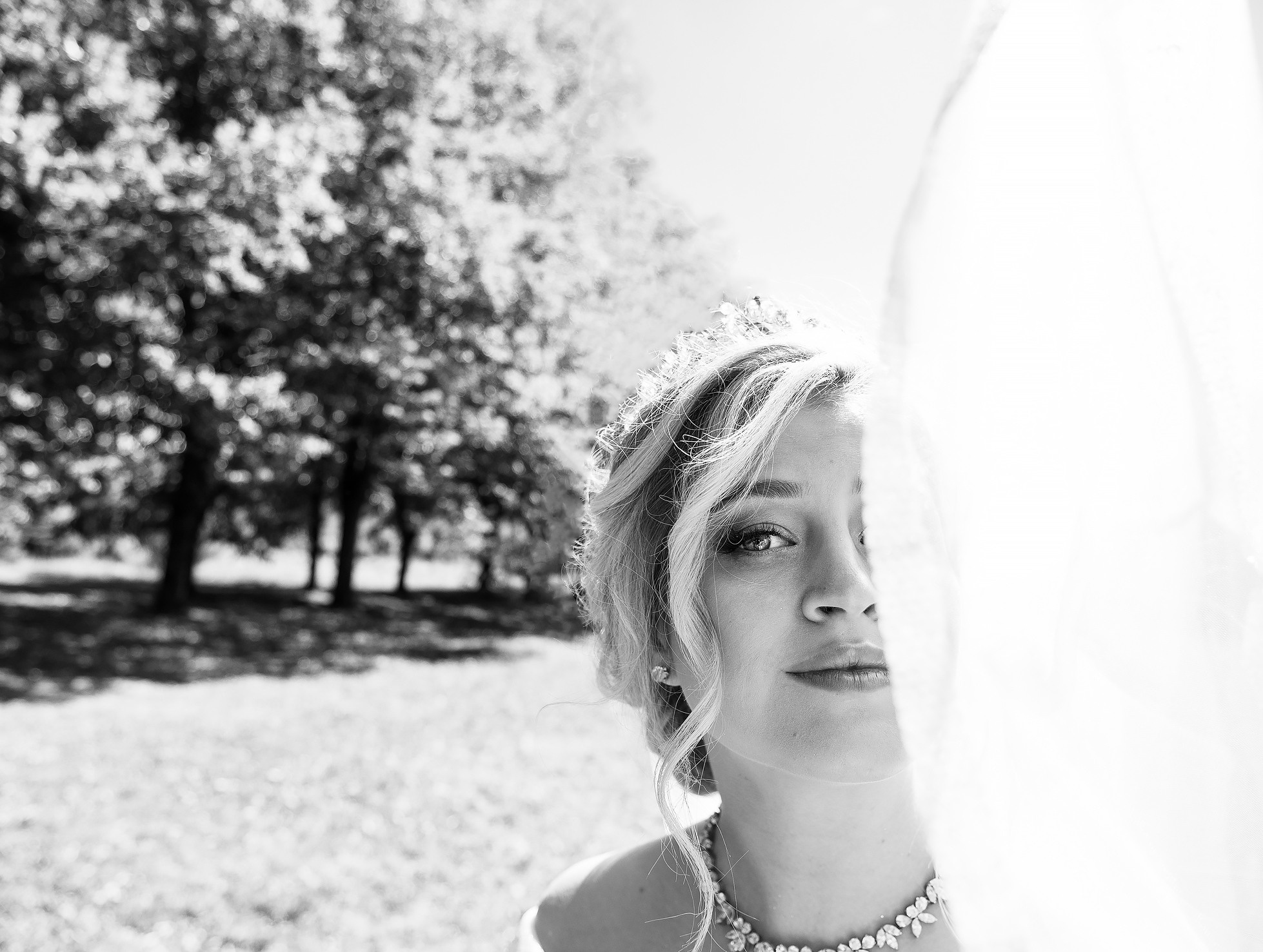 Свадебный день Влада и Яны Ставрополь. Семейный и свадебный фотограф в Ставрополе Заведеев Алексей