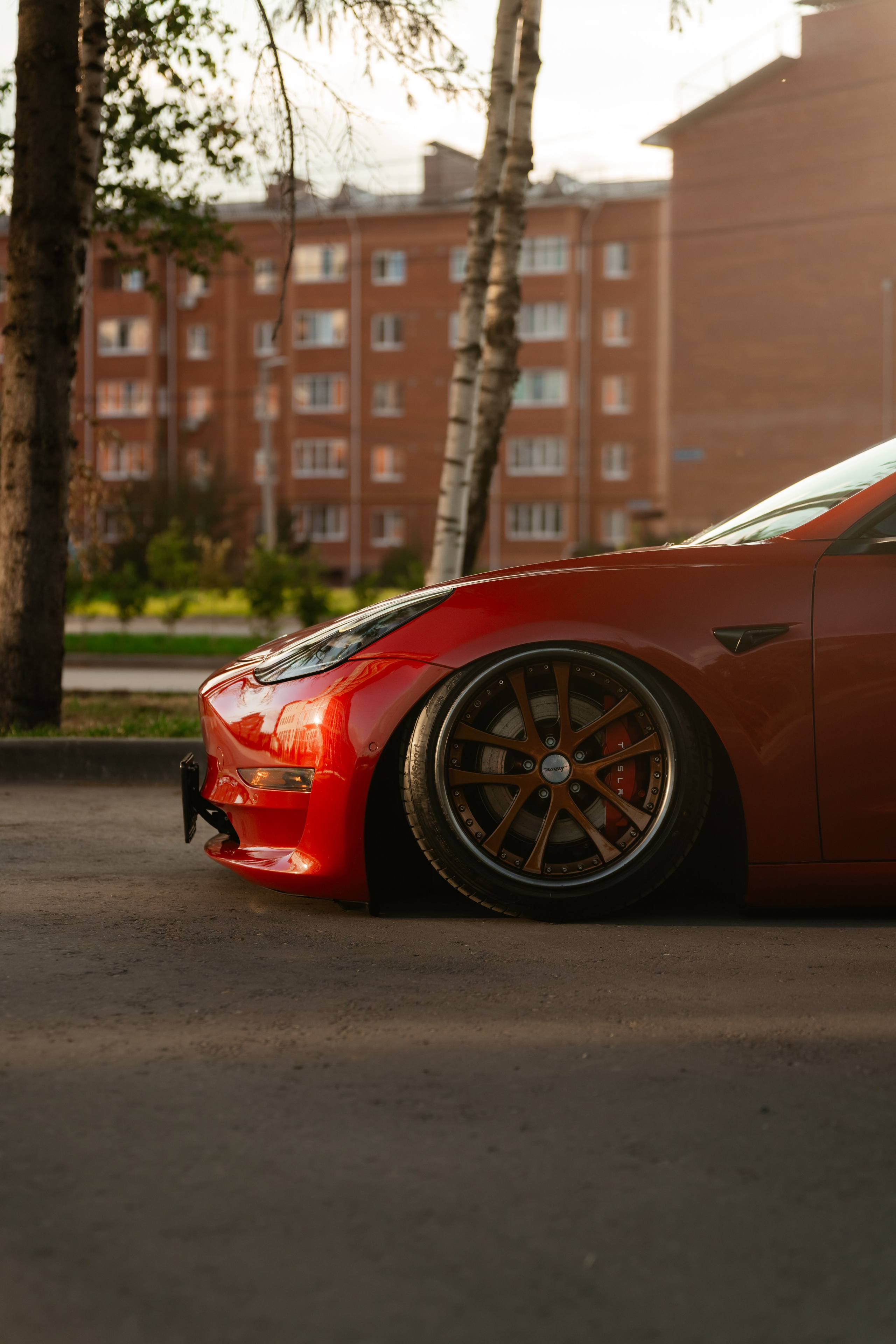 Tesla 3 Stance. Vlad Trykov