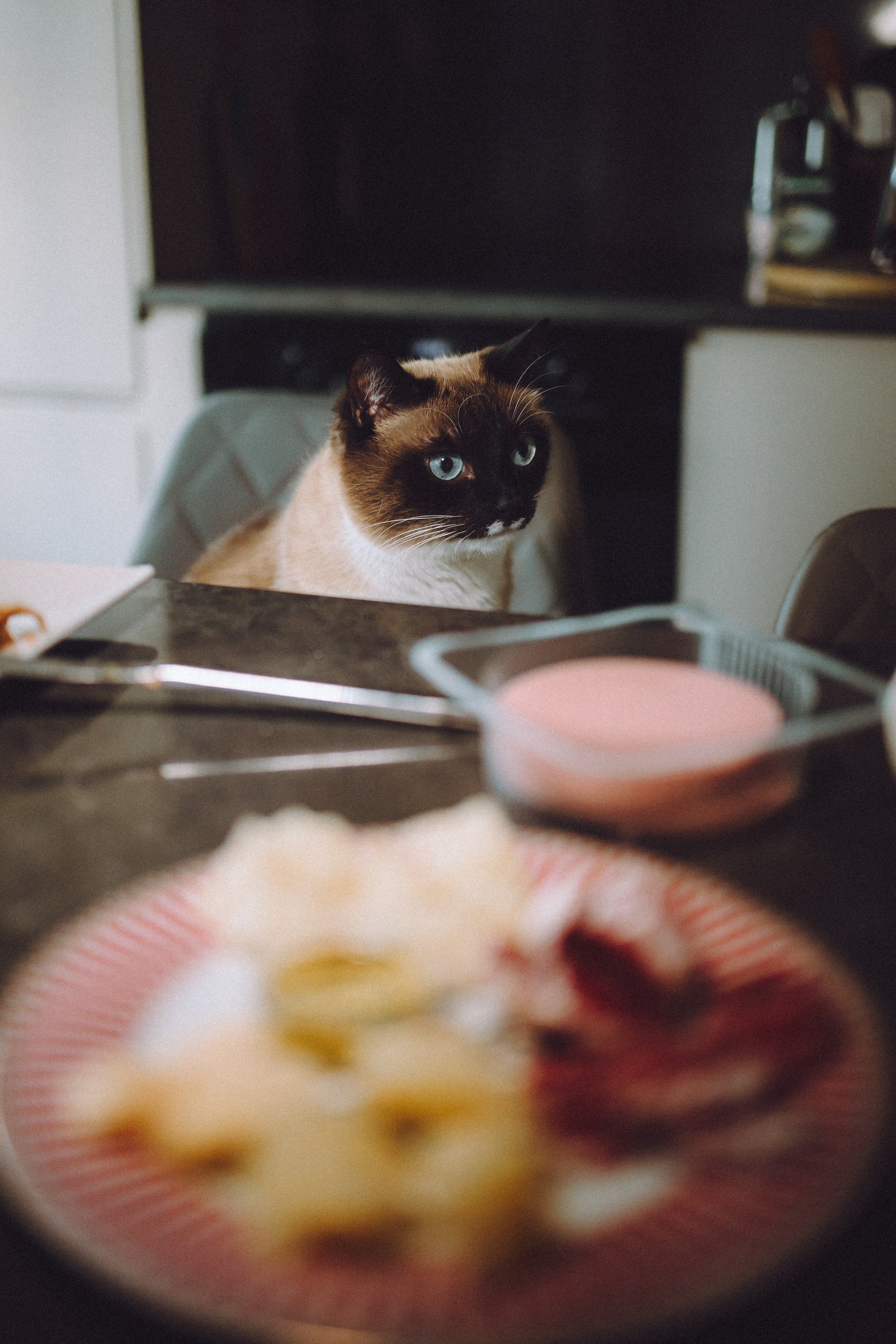Наташа, Маруся и Зефир