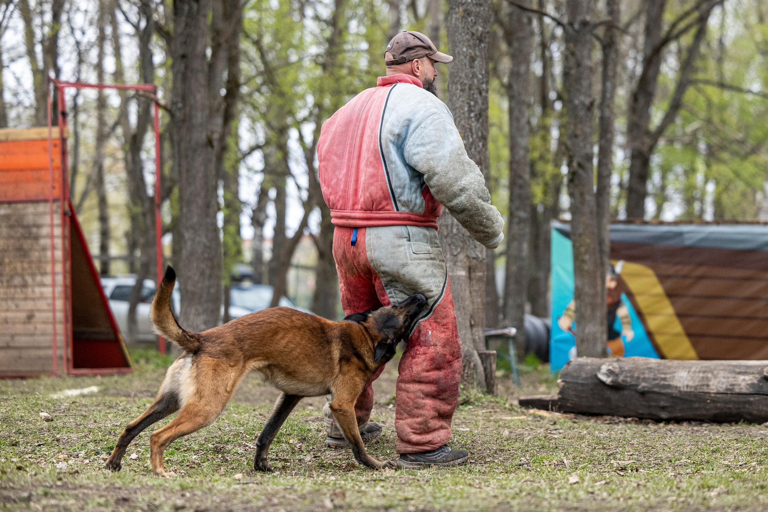 Квалификационные состязания по мондьорингу г. Вологда 11.05.24. Фотограф-анималист Анна Маринич