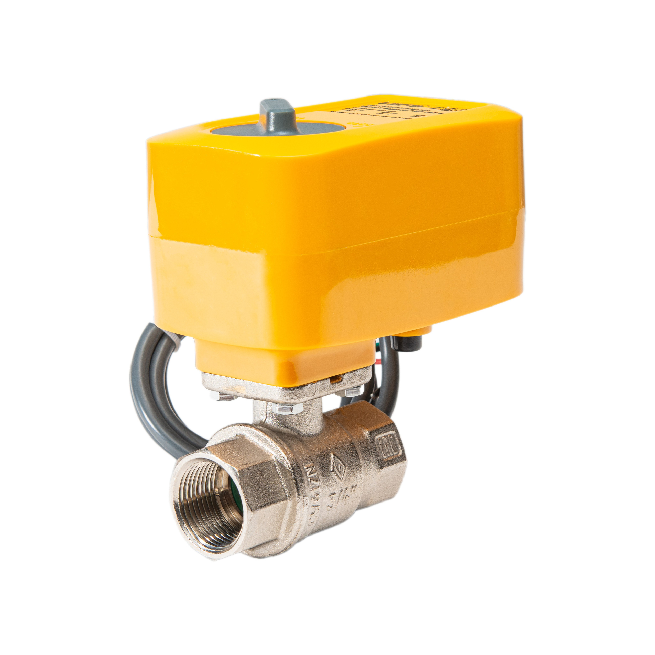 Каталог. Коммерческий фотограф в Москве Билуши Василиса