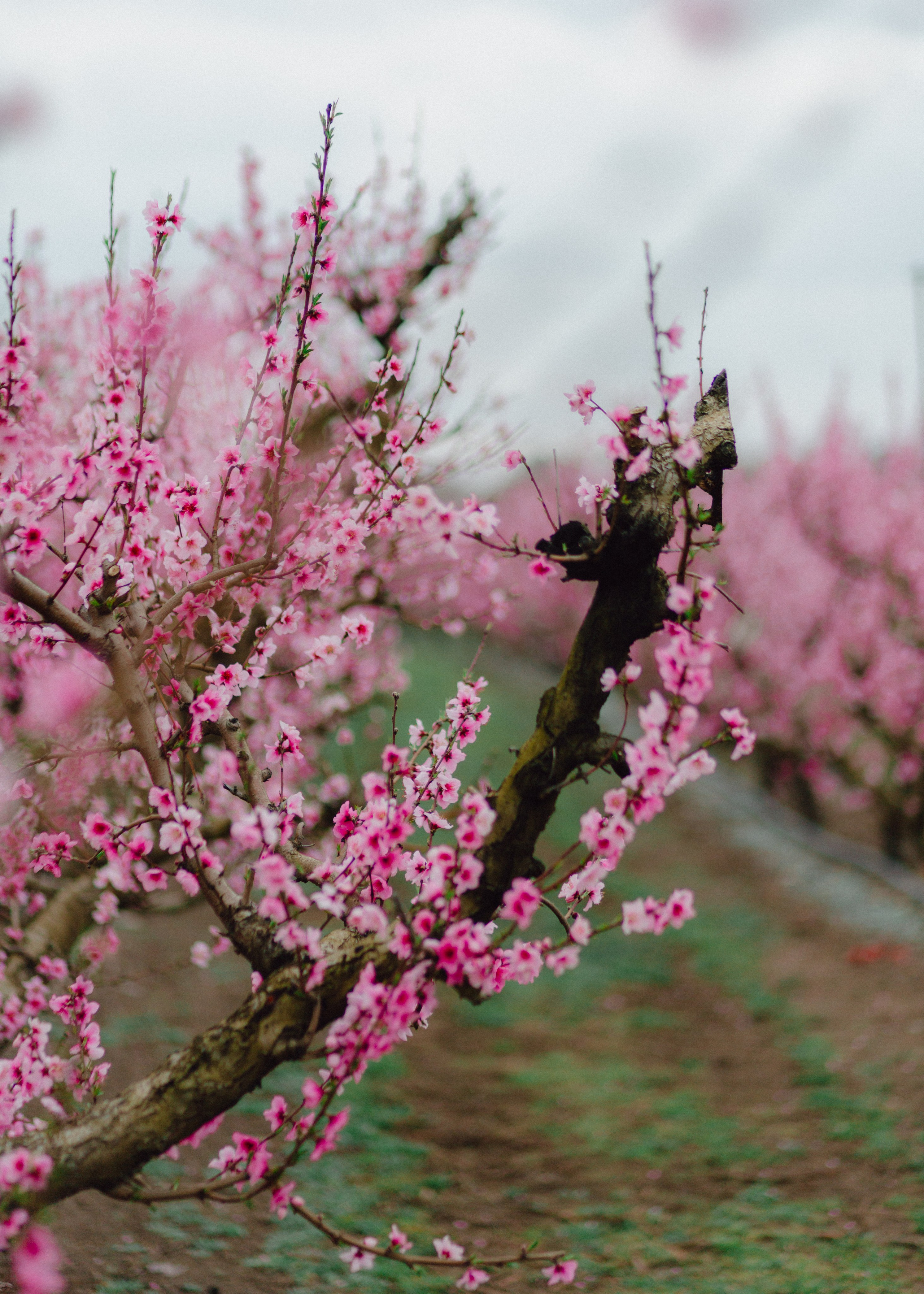 Sasha & Anton. Barbara Isaeva
