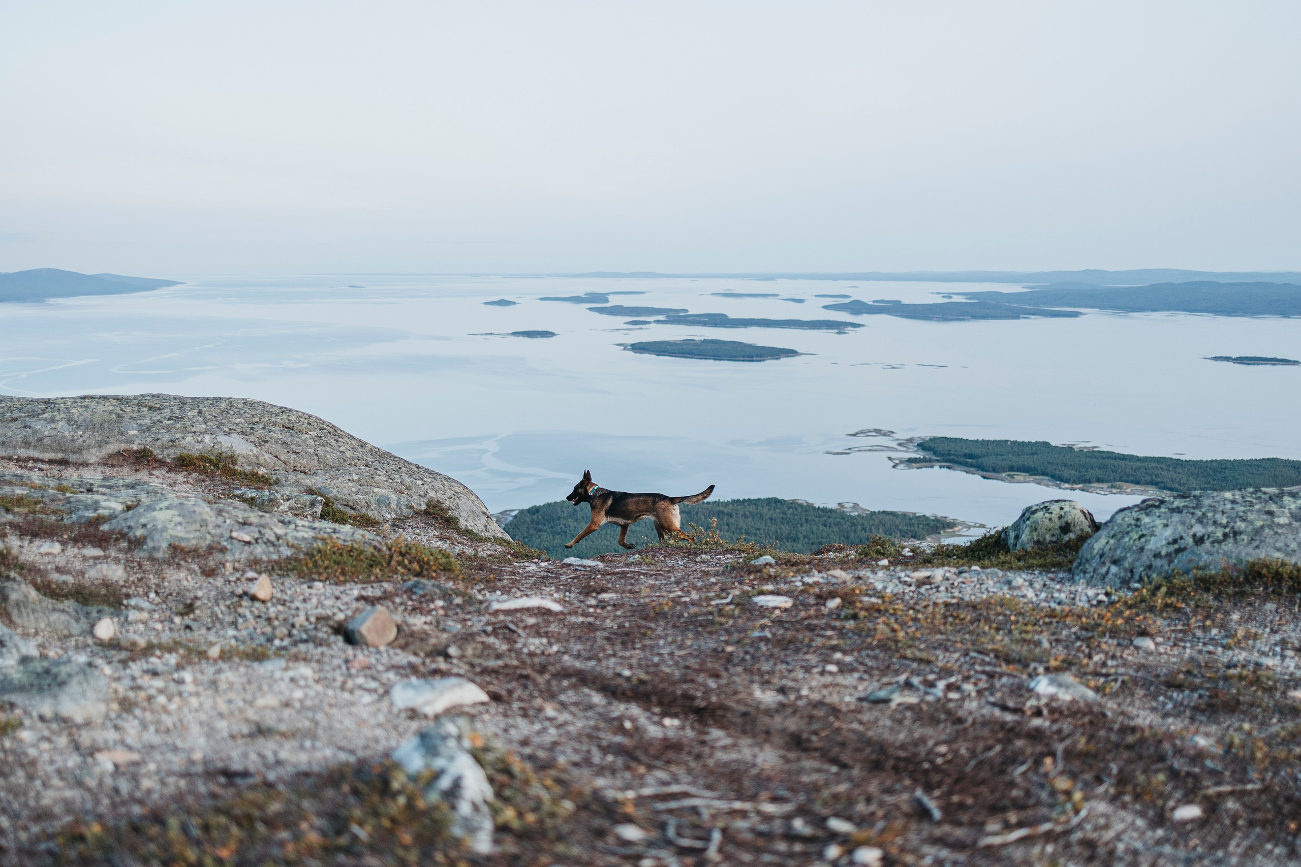 Горы. Фотограф-анималист Анна Маринич