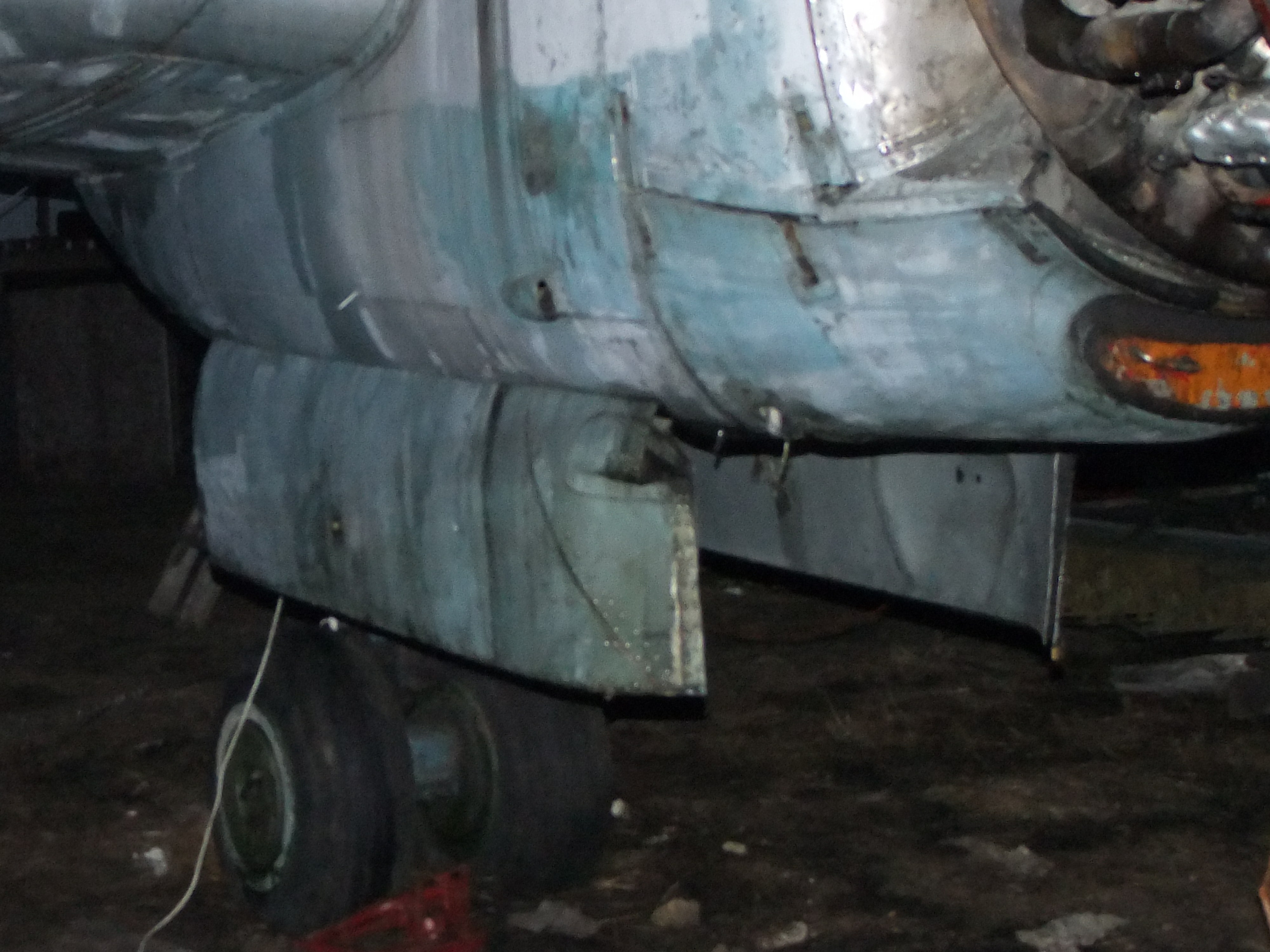 Ил-14Т «Голубая Мечта» работы в Тушино (2011 г.). Фотоальбом показывающий увлекательный мир авиации и мир медведей Андрея Иванова