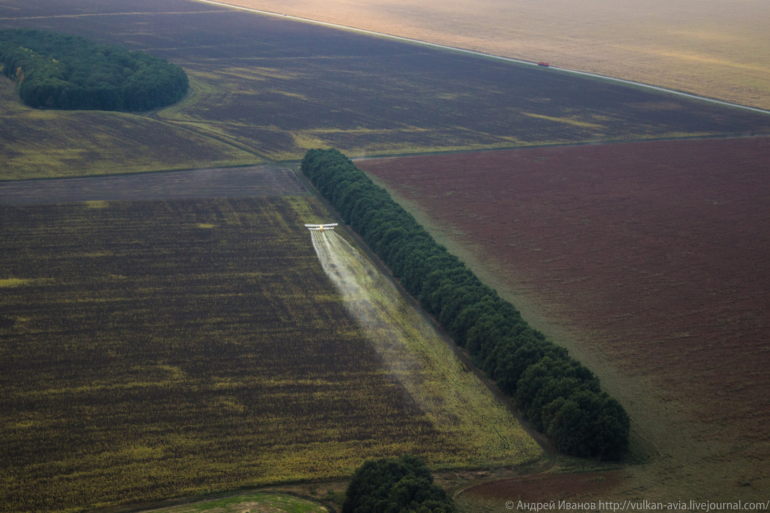 Волгодонск аэр. Потапов слёт «Небо для всех» (2021 г.). Фотоальбом показывающий увлекательный мир авиации и мир медведей Андрея Иванова