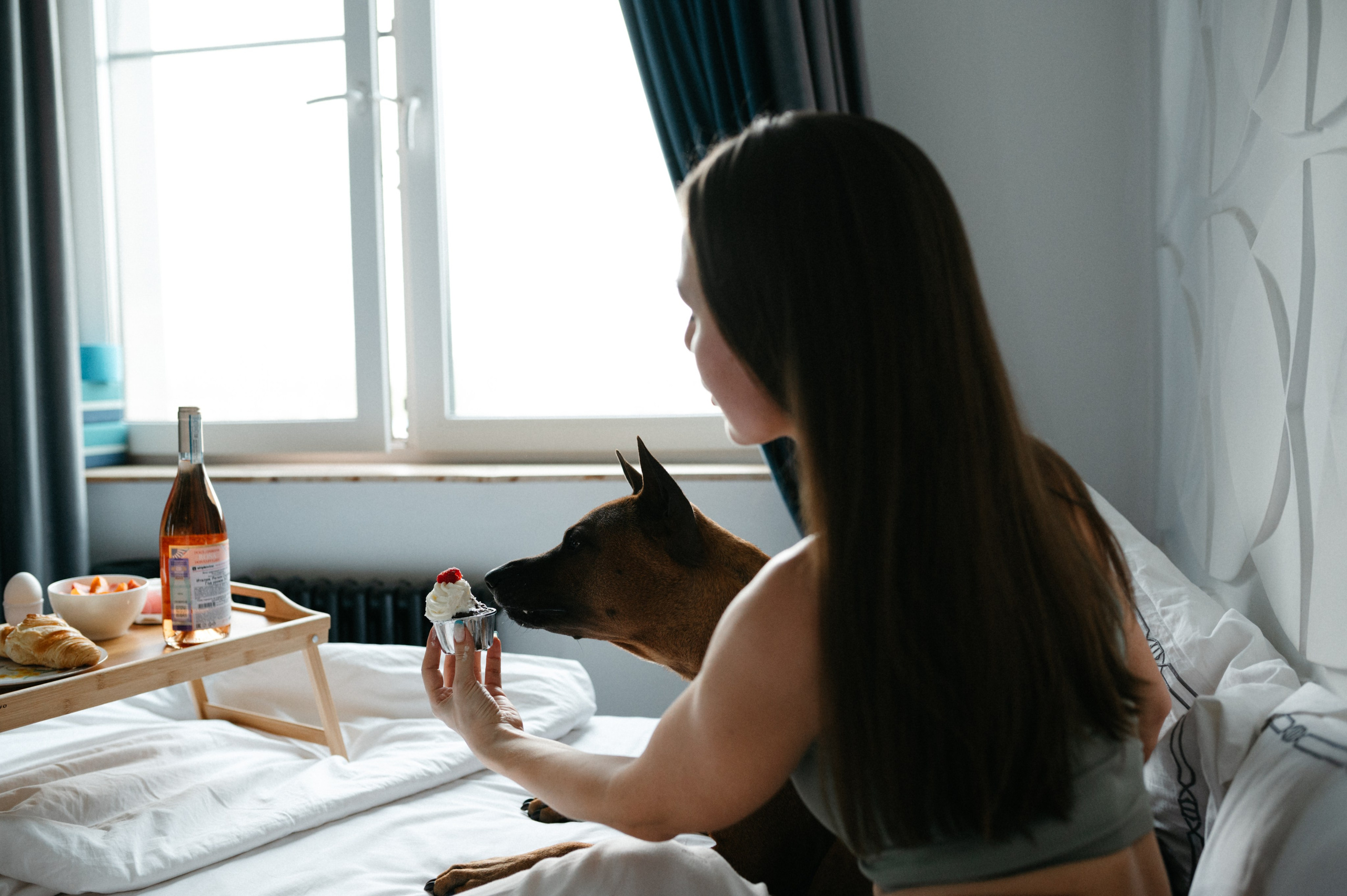 Оксана и Зевс. Фотограф анималист в Москве Ольга Агушева