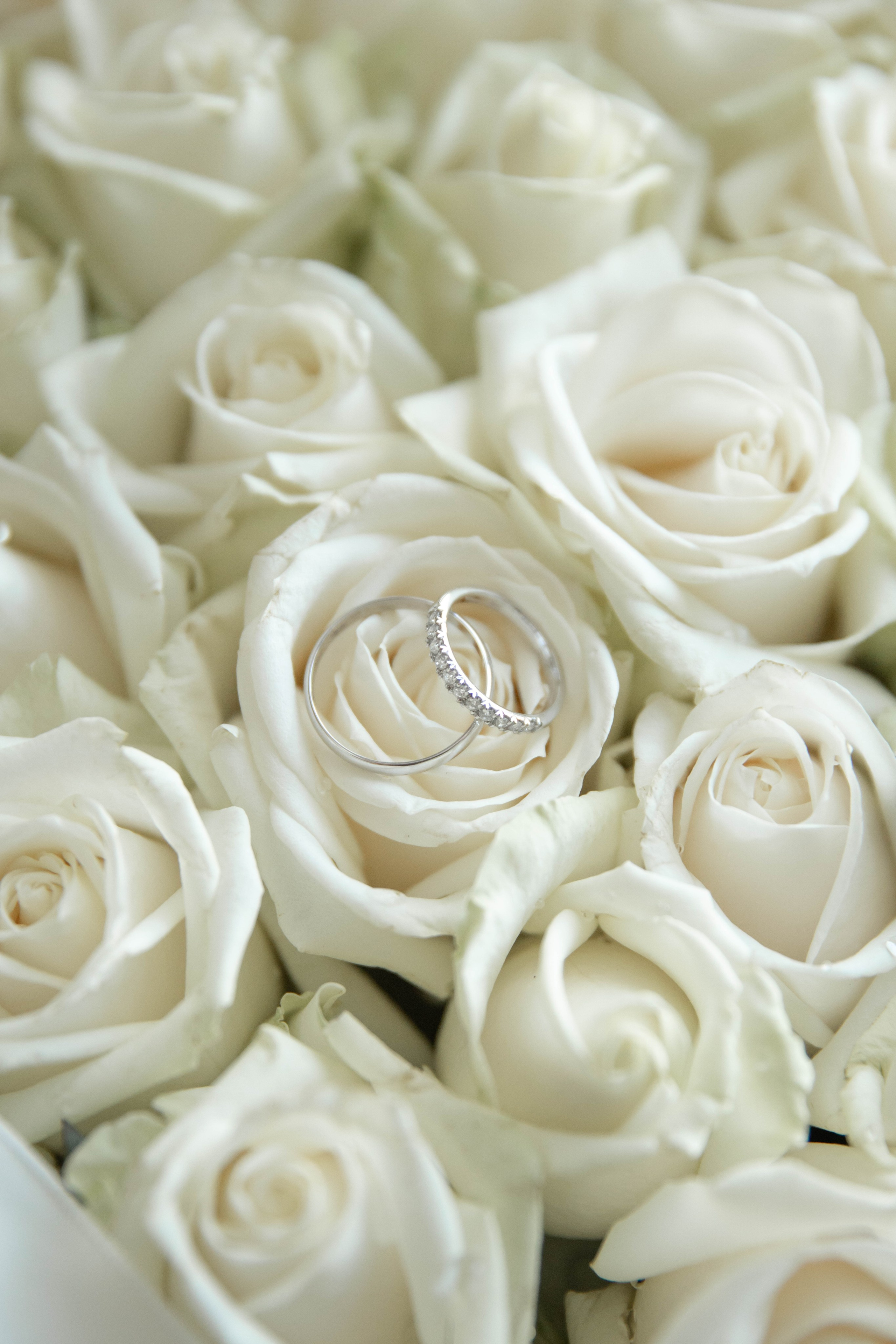 5 июля Москва. Свадебный и семейный фотограф в Москве Диана Левченко